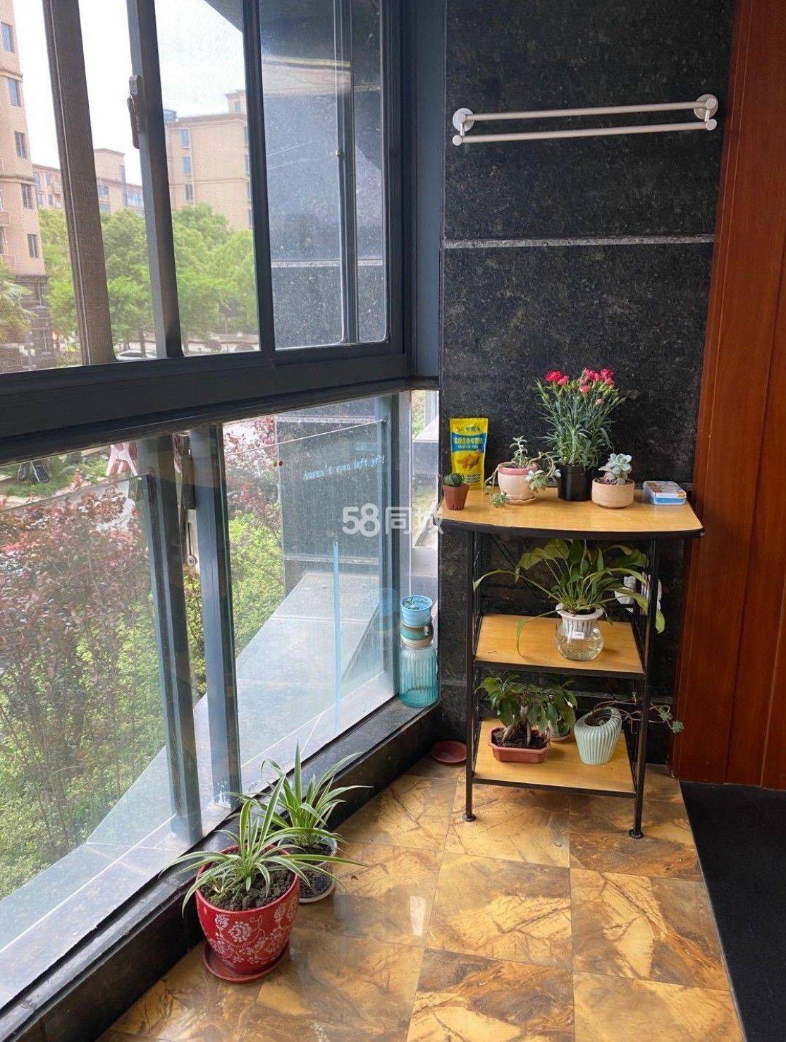 Shanghai-Pudong-Cozy Home,Clean&Comfy,No Gender Limit,Hustle & Bustle,“Friends”,Chilled