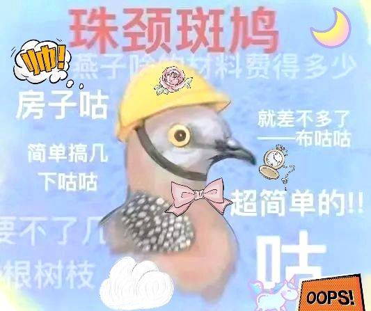 上海-浦東-溫馨小窩,乾淨治愈,不限性別