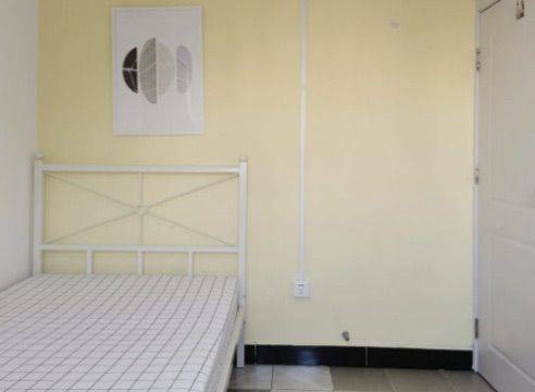 Beijing-Chaoyang-Hustle & Bustle,LGBTQ Friendly