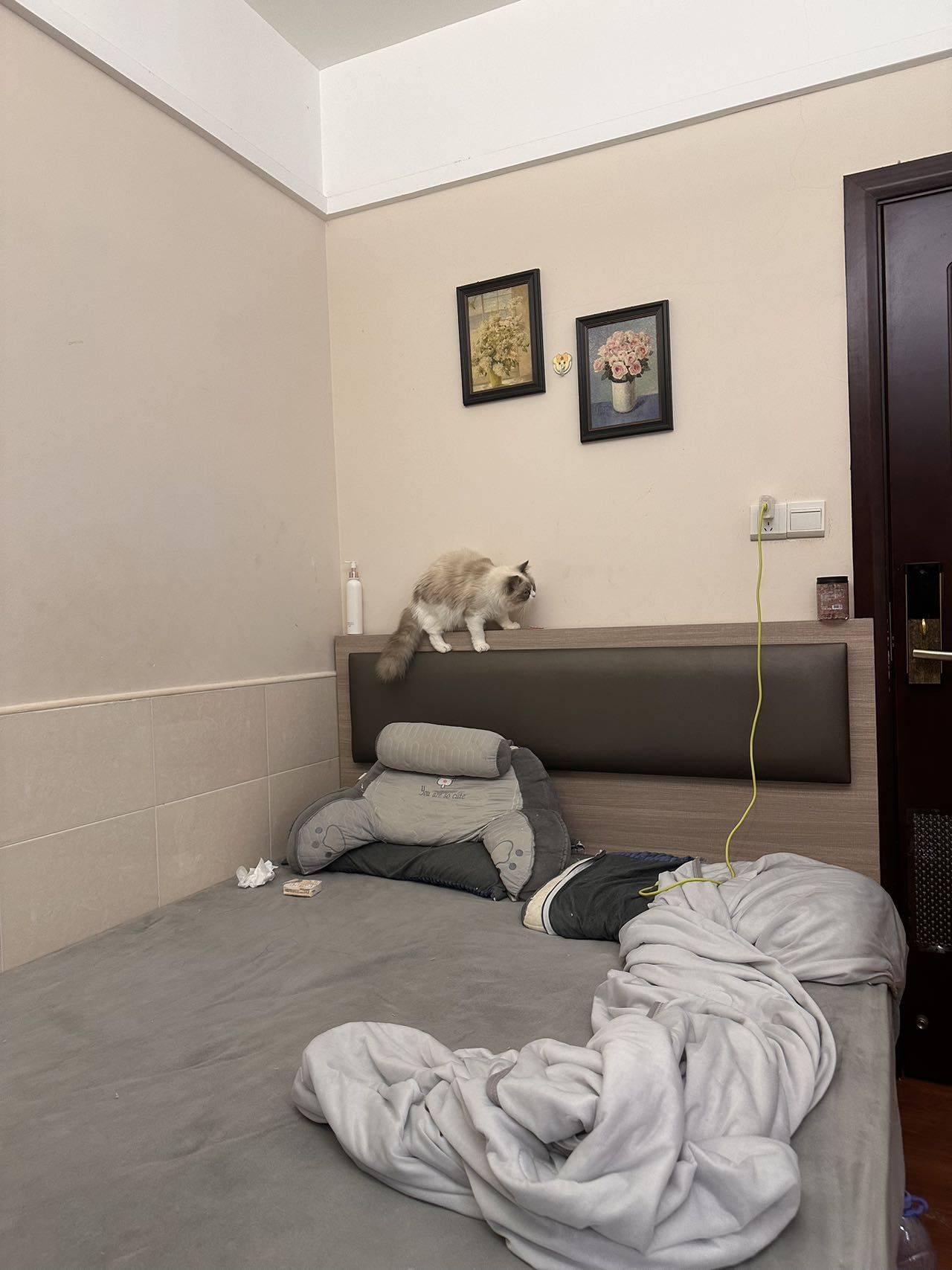 Shenzhen-BaoAn-Cozy Home