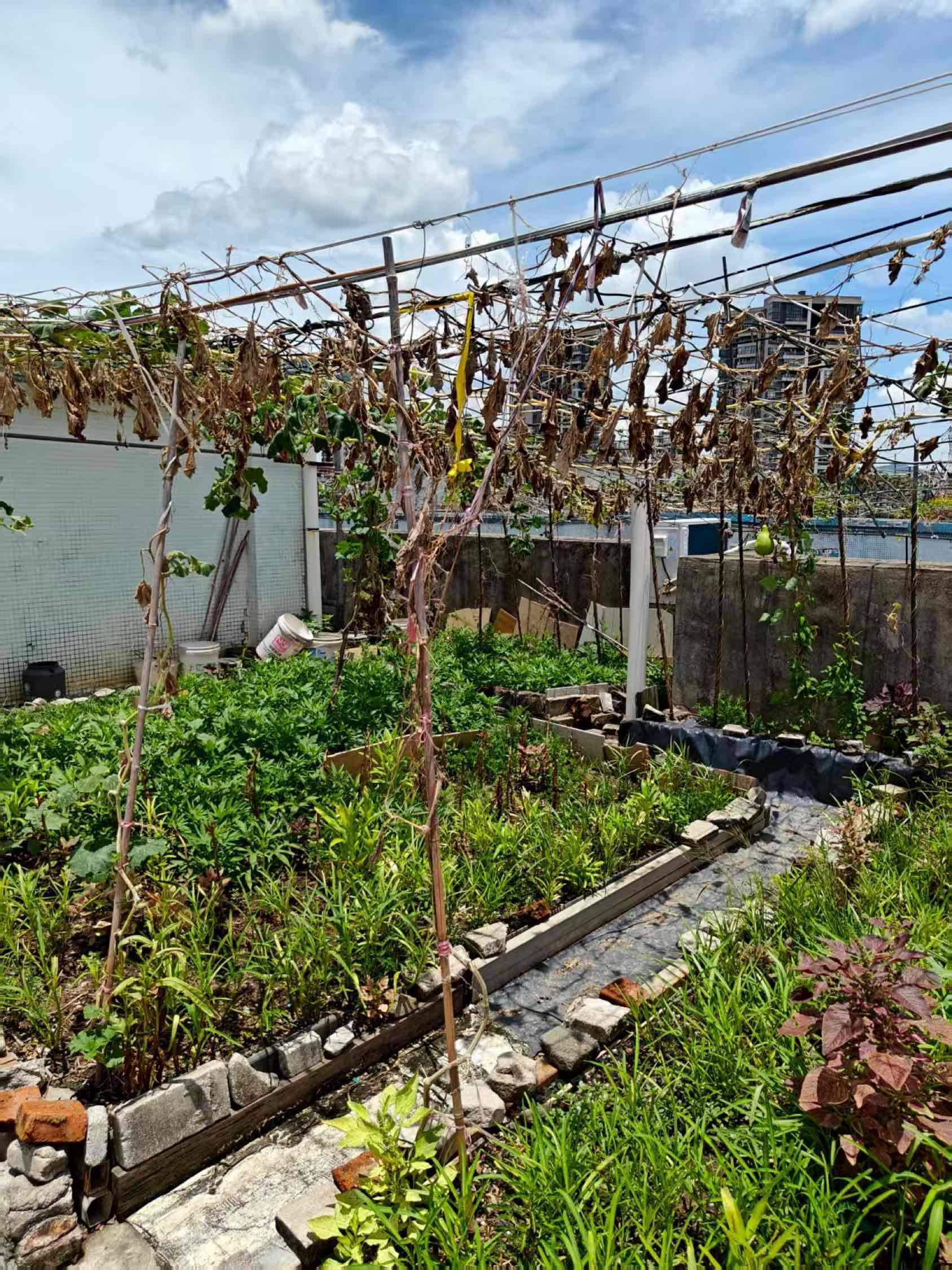 Guangzhou-Tianhe-Clean&Comfy,No Gender Limit