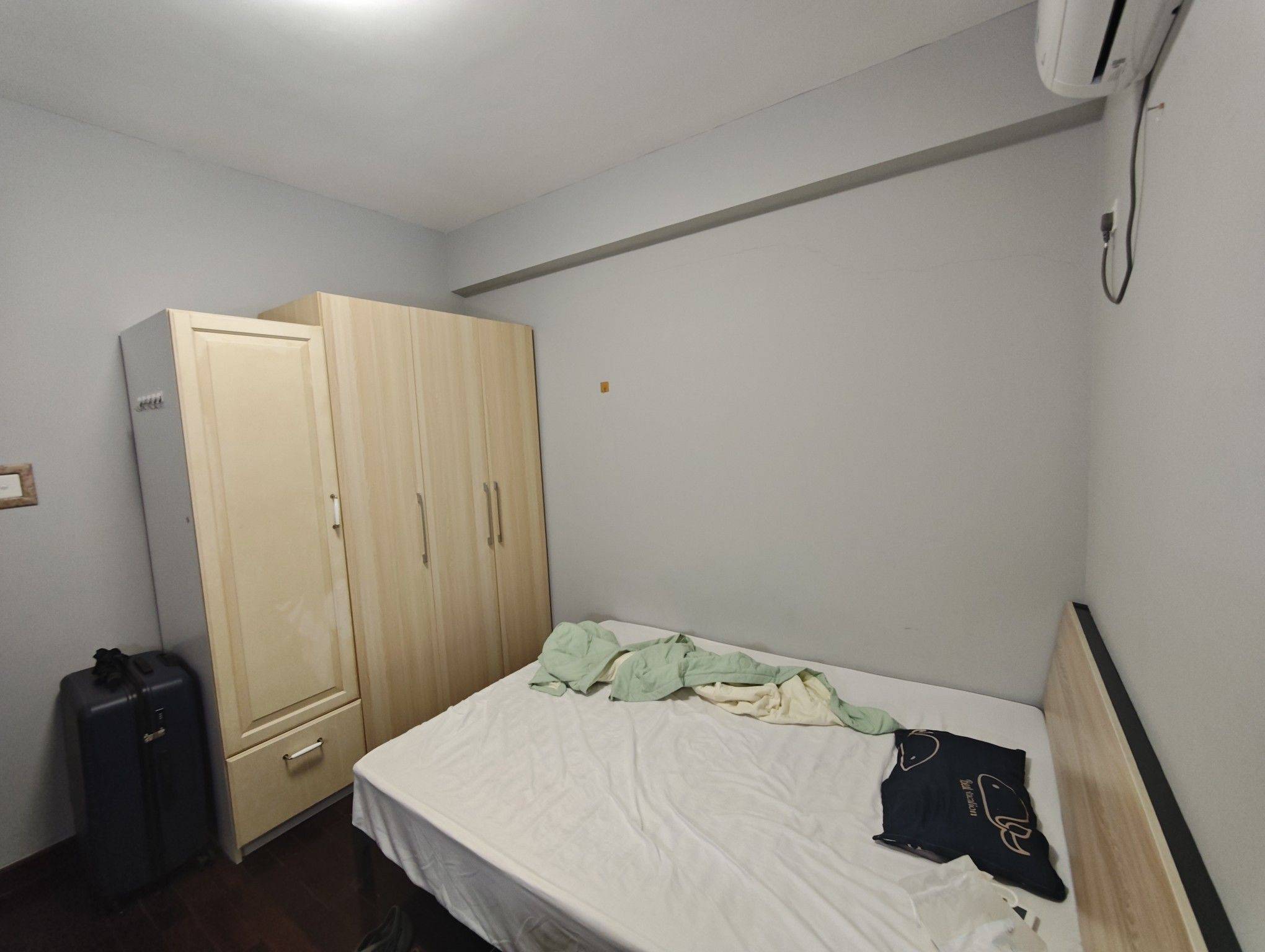 深圳-南山-温馨小窝,干净治愈,不限性别,市井烟火气,宠物友好