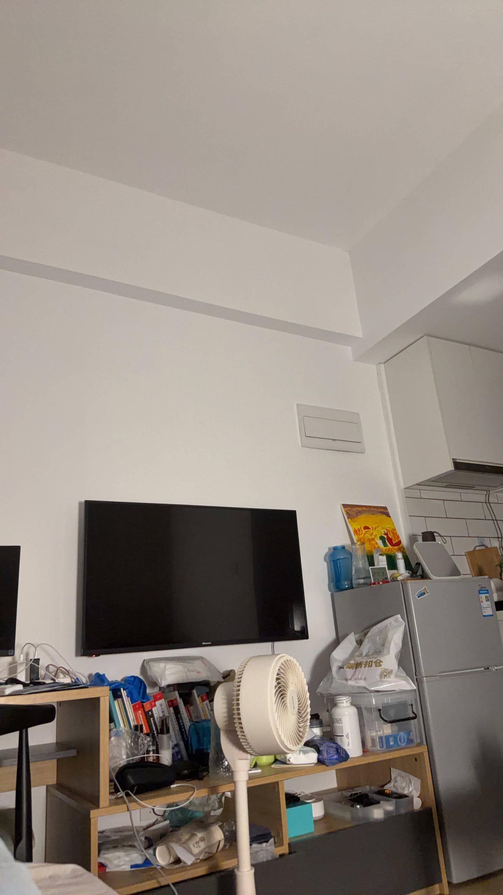 Shanghai-Songjiang-LGBTQ Friendly,Pet Friendly