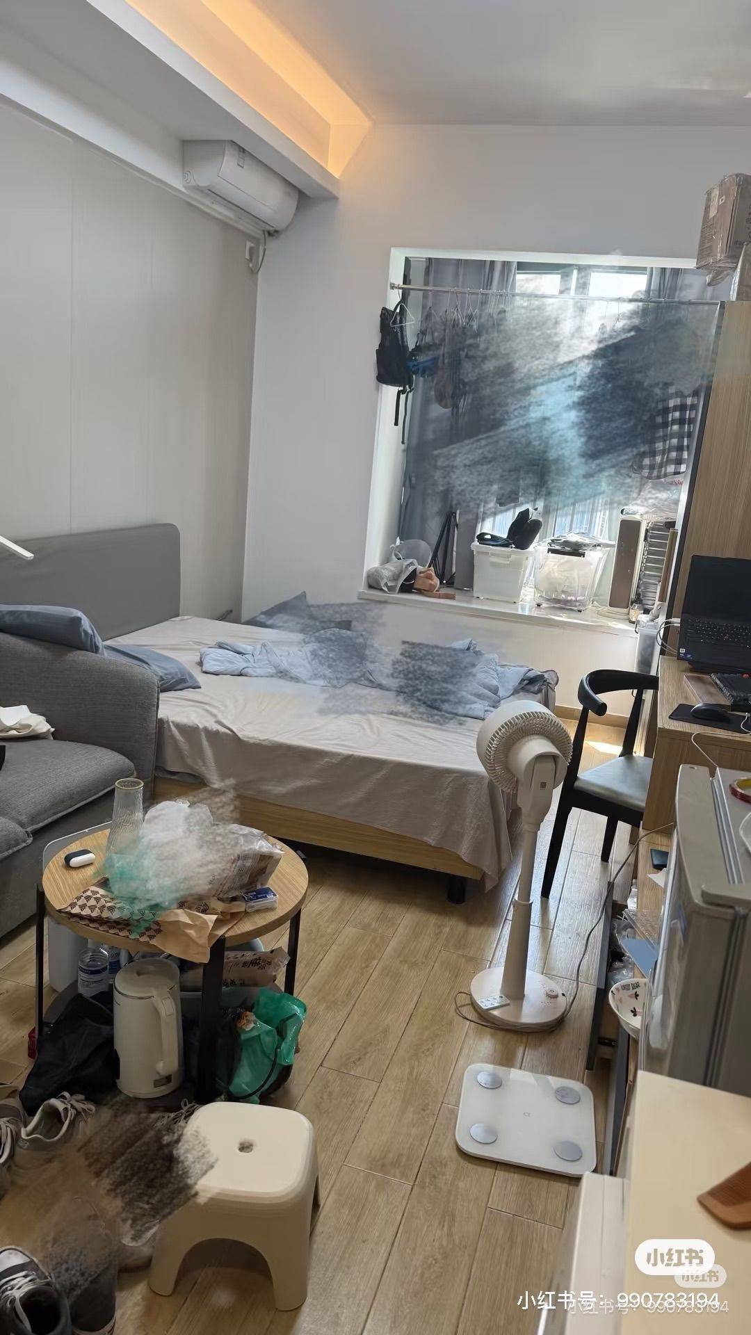 Shanghai-Songjiang-LGBTQ Friendly,Pet Friendly