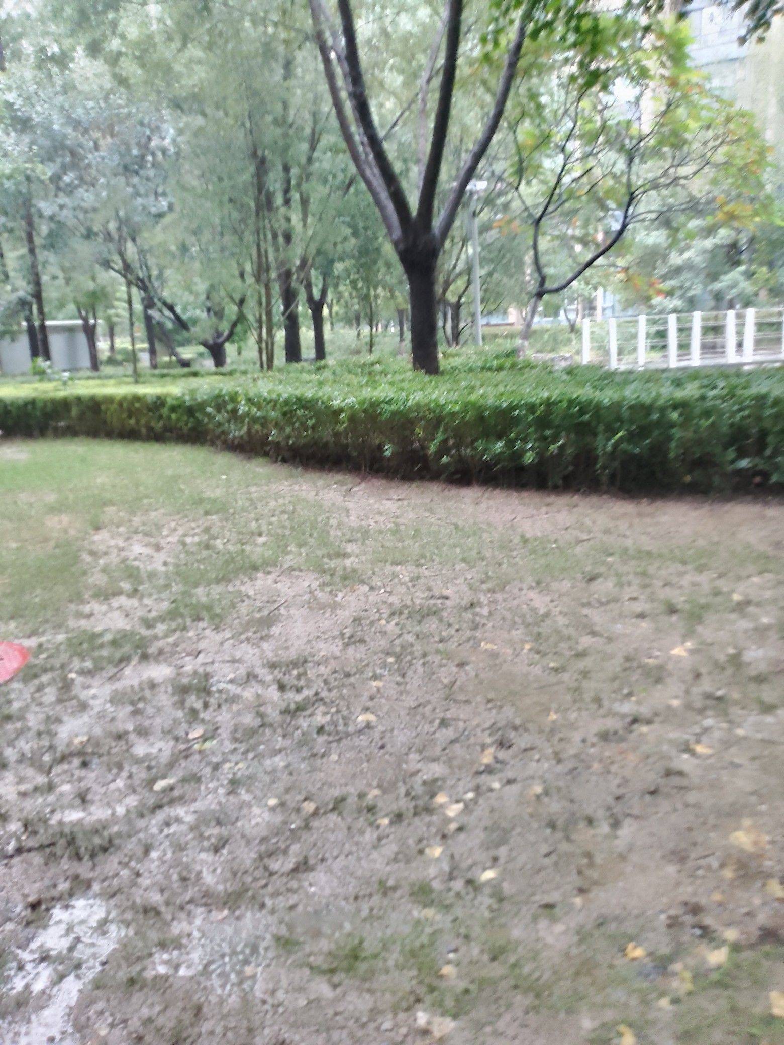 北京 朝陽 | 中国铁建国际城-5号楼_6