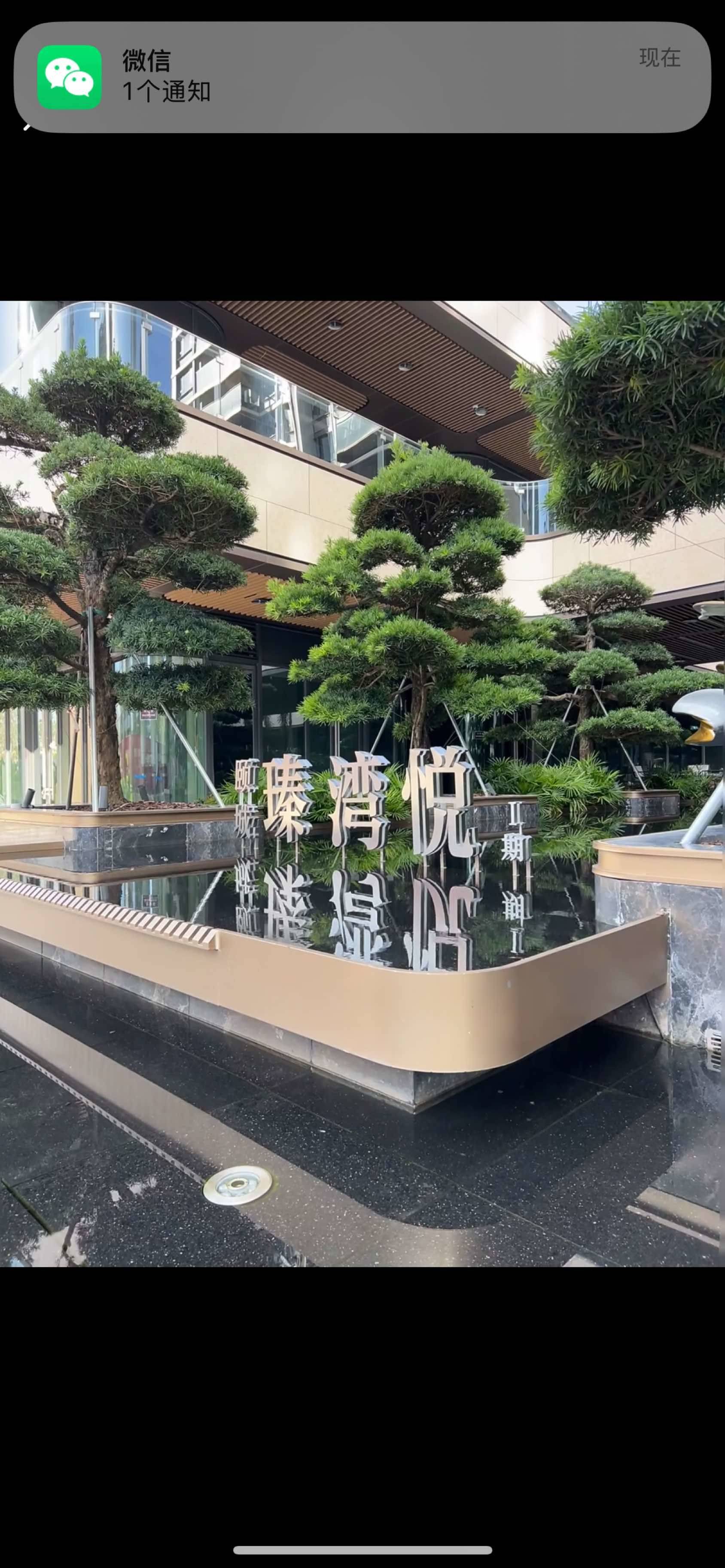 Shenzhen-Nanshan-Cozy Home