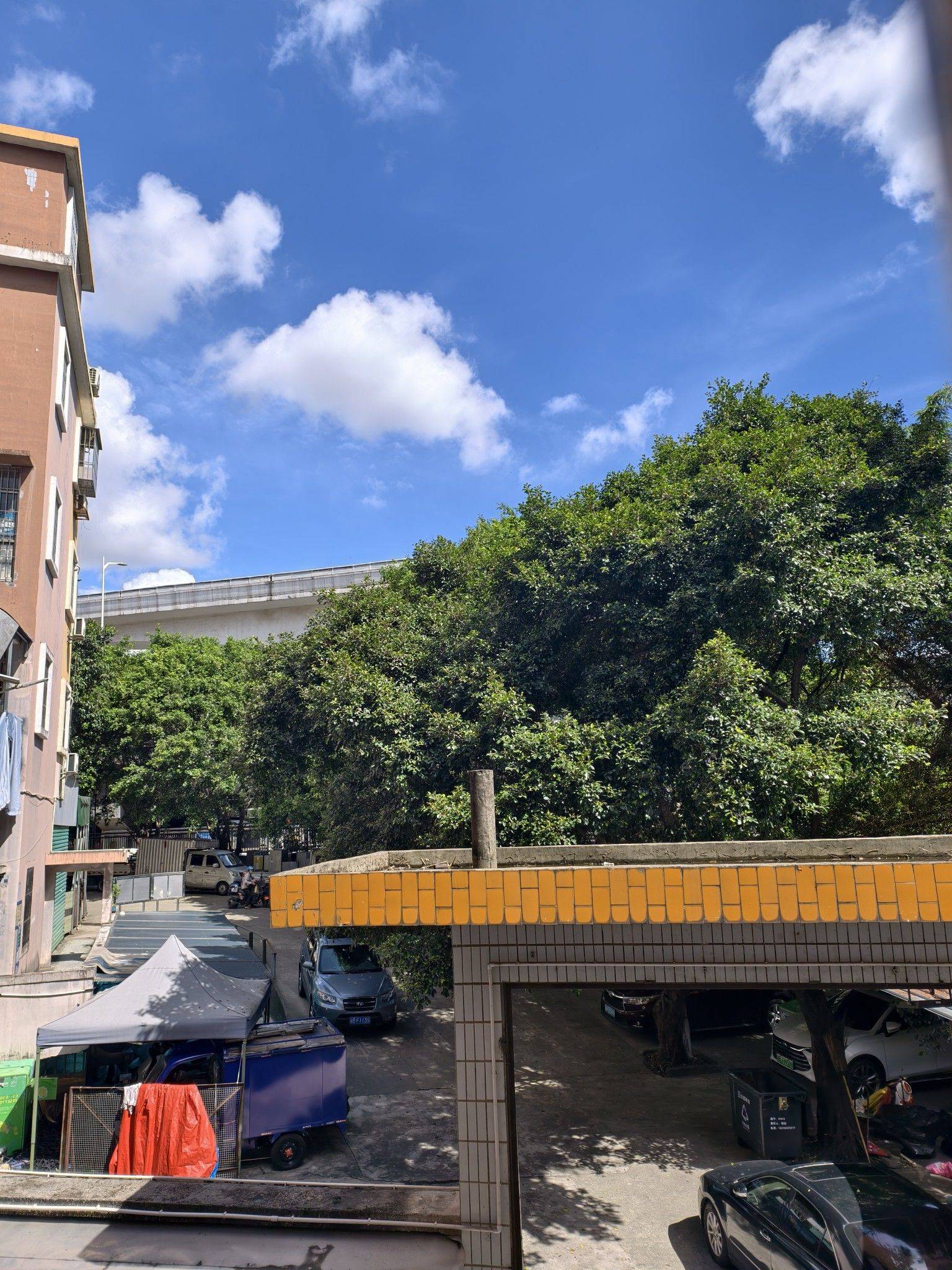Shenzhen-Longgang-Cozy Home,Clean&Comfy,No Gender Limit,Hustle & Bustle,“Friends”,Chilled,LGBTQ Friendly,Pet Friendly