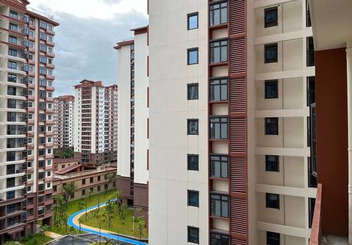 海棠 海棠湾林旺中安置区