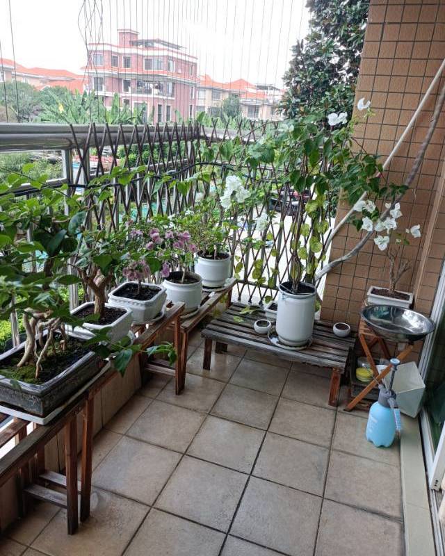 Dongguan Dongcheng | 银湖花园_4