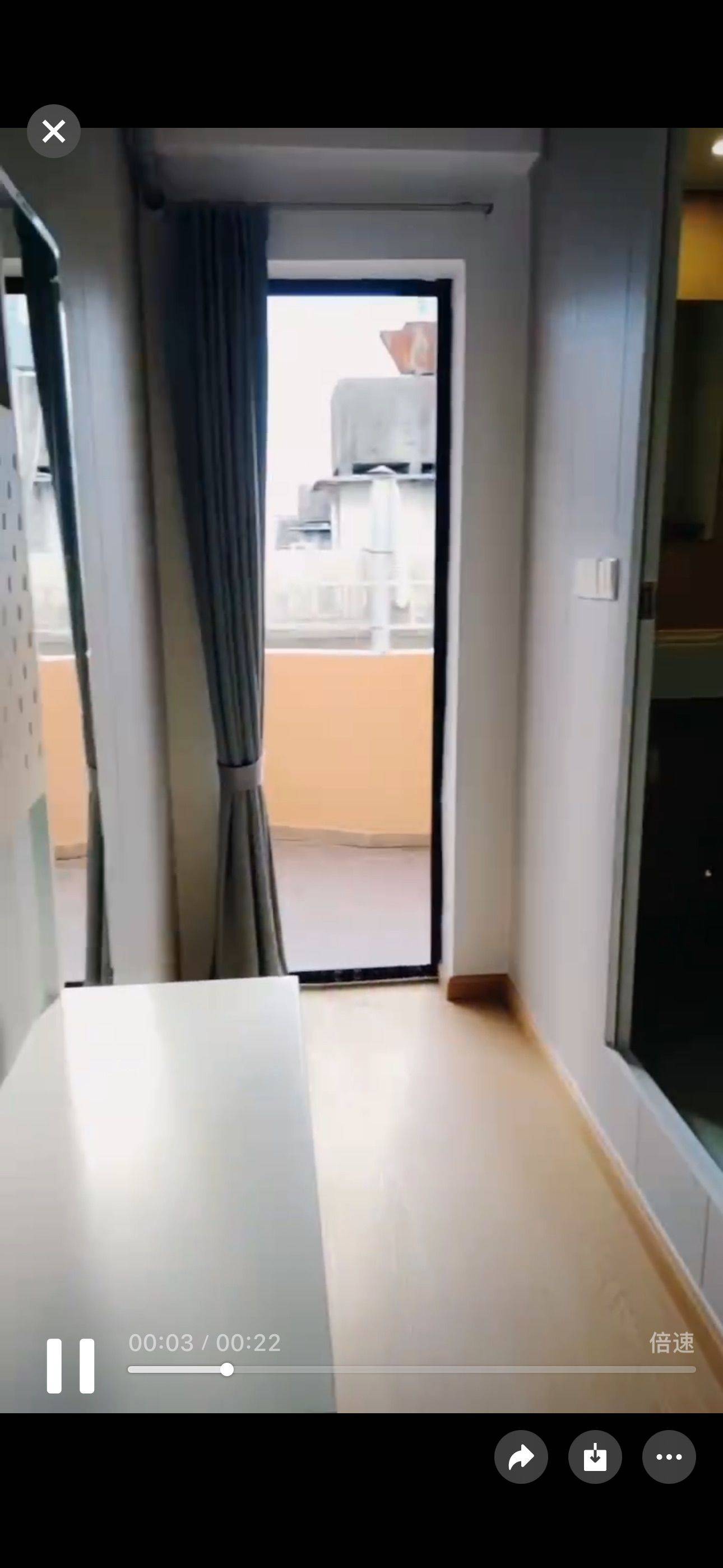 Shenzhen-BaoAn-Pet Friendly