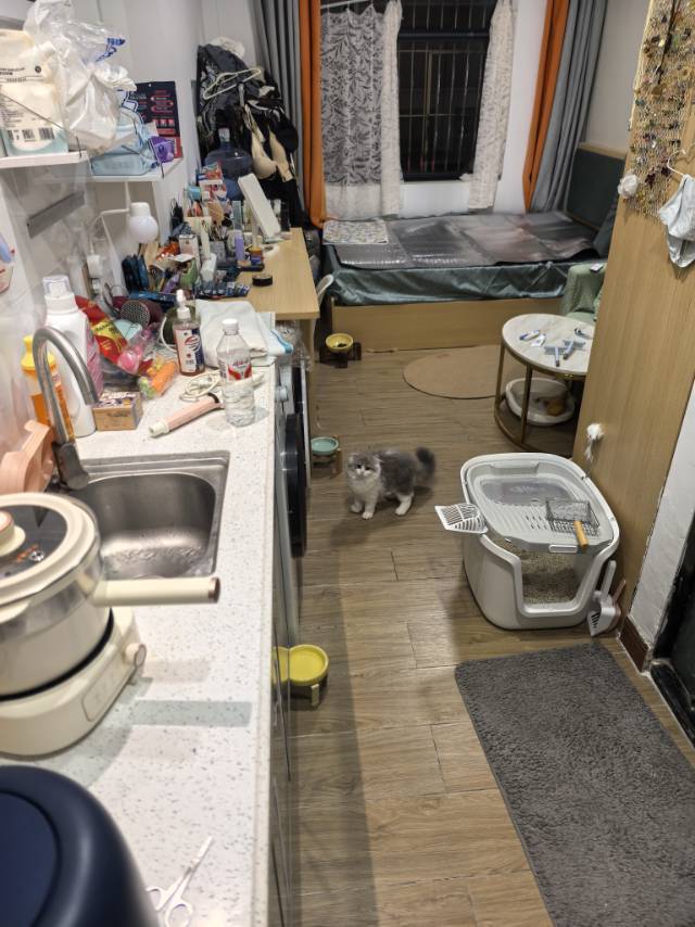 深圳-南山-溫馨小窩,乾淨治愈,不限性別,市井煙火氣