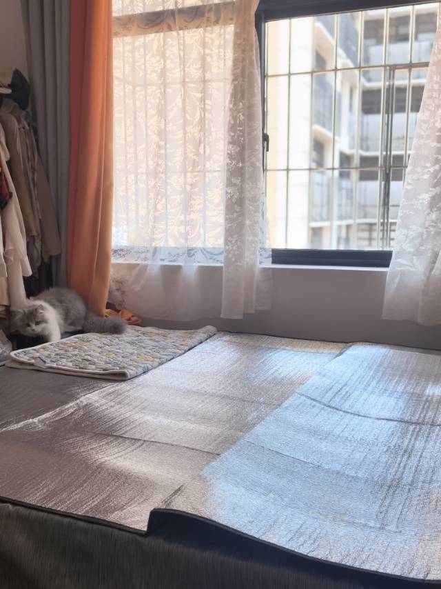 Shenzhen-Nanshan-Cozy Home,Clean&Comfy,No Gender Limit,Chilled,LGBTQ Friendly