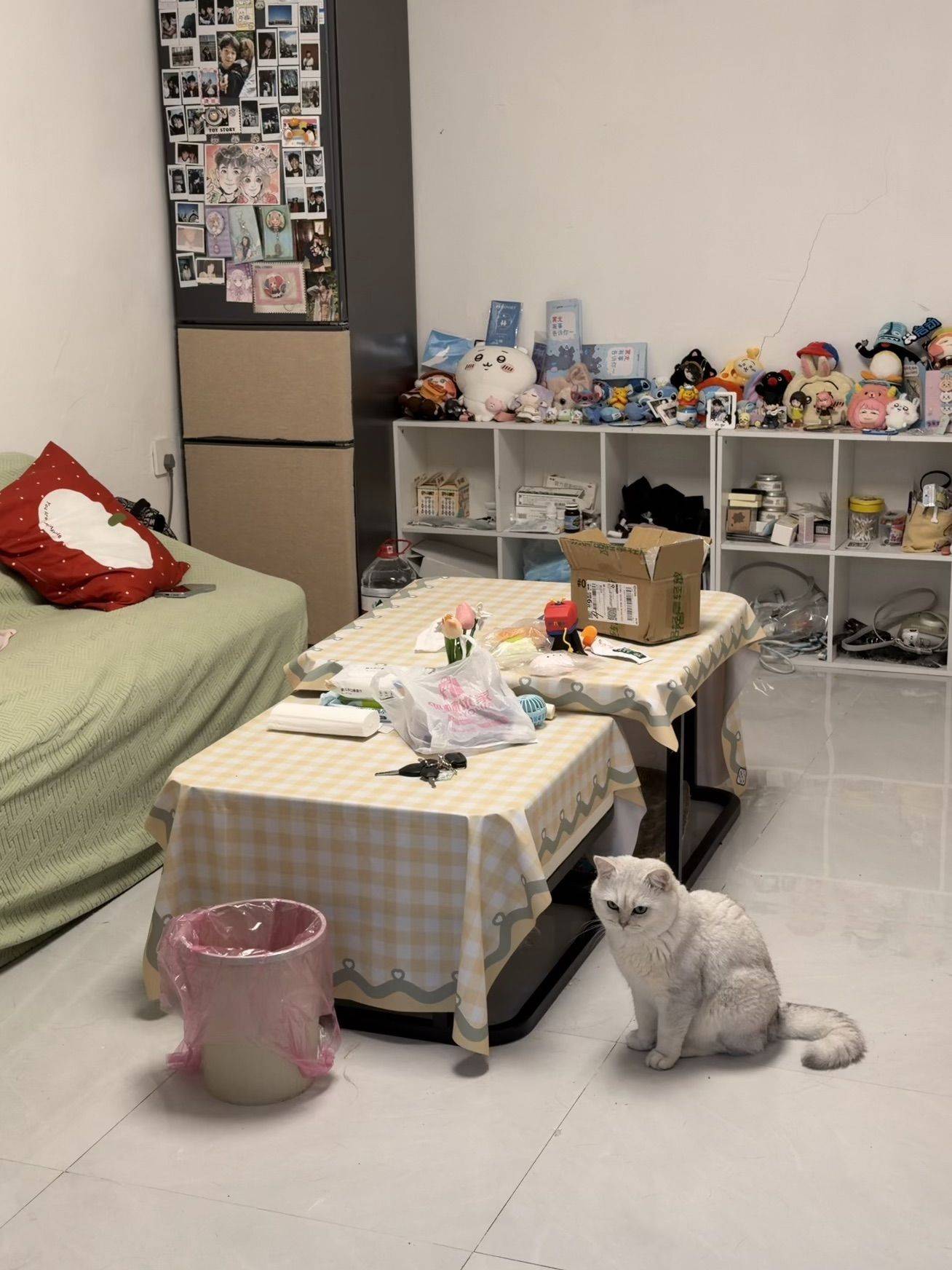 Shanghai-Pudong-Cozy Home,Clean&Comfy,No Gender Limit,Hustle & Bustle,Pet Friendly