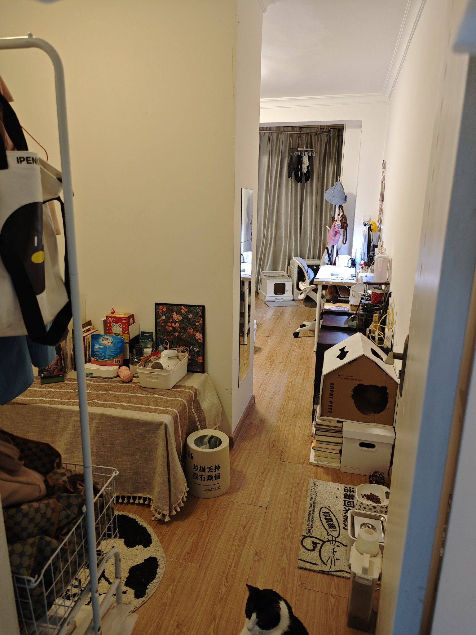 Shanghai-Jing‘An-Cozy Home,Clean&Comfy,No Gender Limit,Pet Friendly