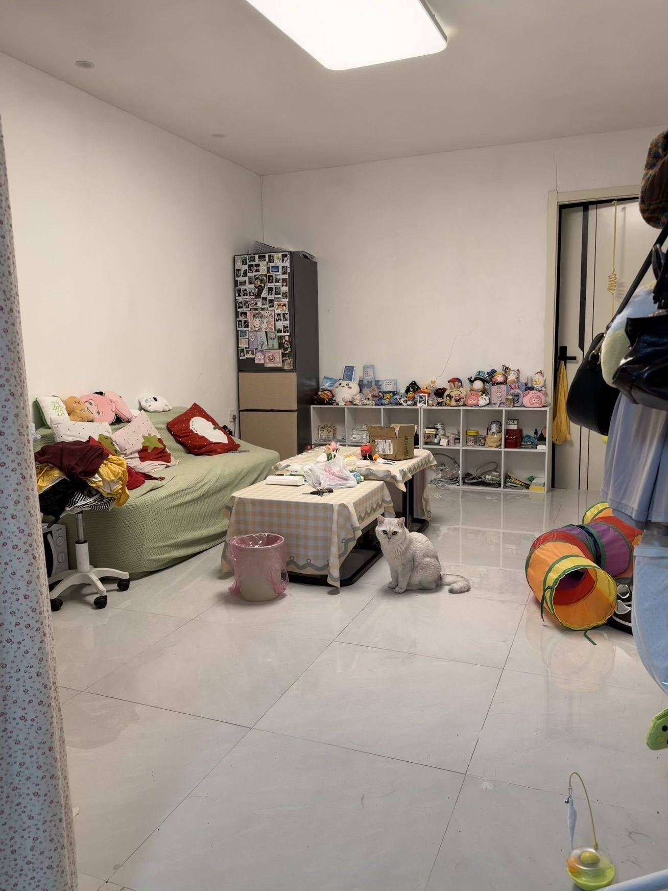 Shanghai-Pudong-Cozy Home,Clean&Comfy,No Gender Limit,Hustle & Bustle,Pet Friendly