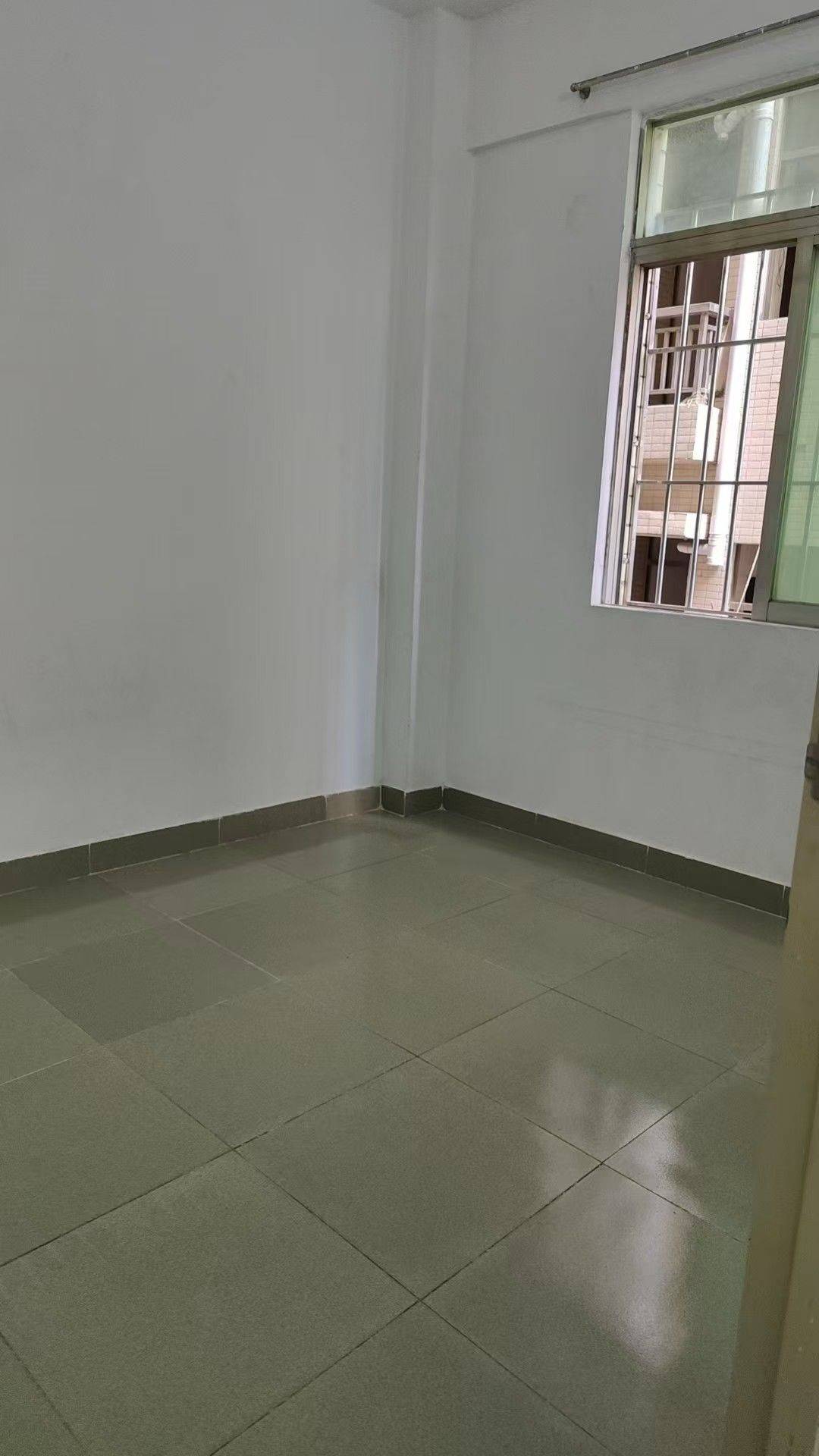 深圳-龙华-温馨小窝,干净治愈,不限性别,市井烟火气,老友记,慢时光,LGBTQ友好,宠物友好