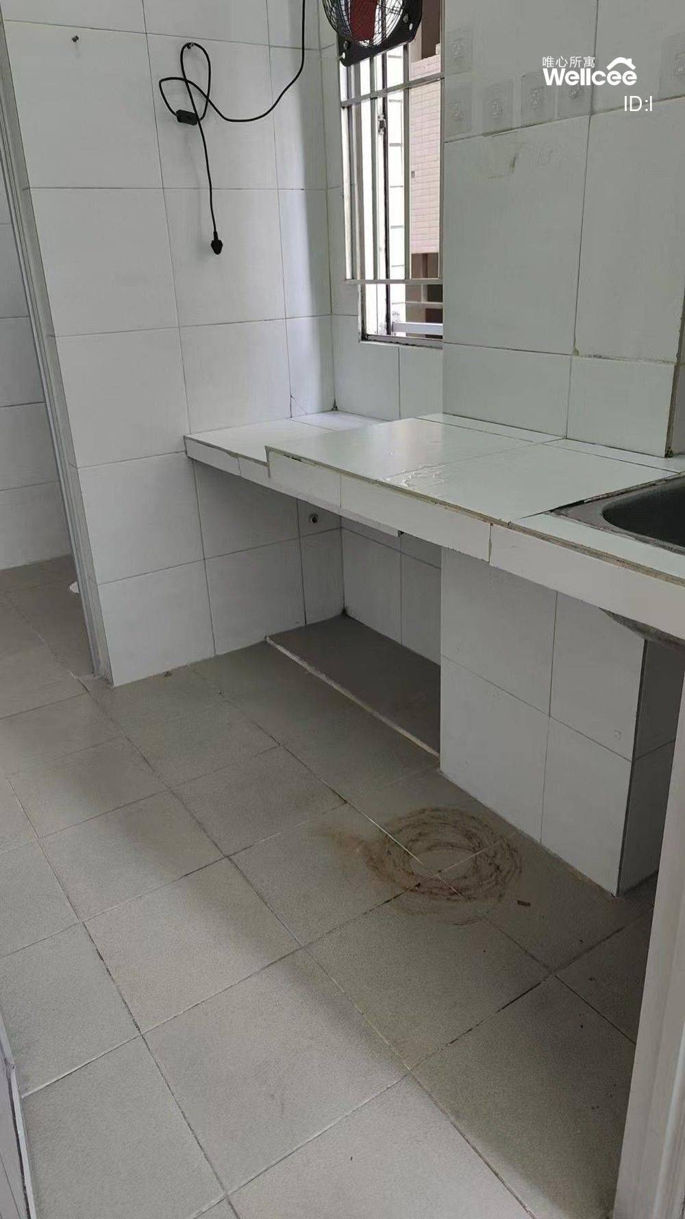 深圳-龙华-温馨小窝,干净治愈,不限性别,市井烟火气,老友记,慢时光,LGBTQ友好,宠物友好