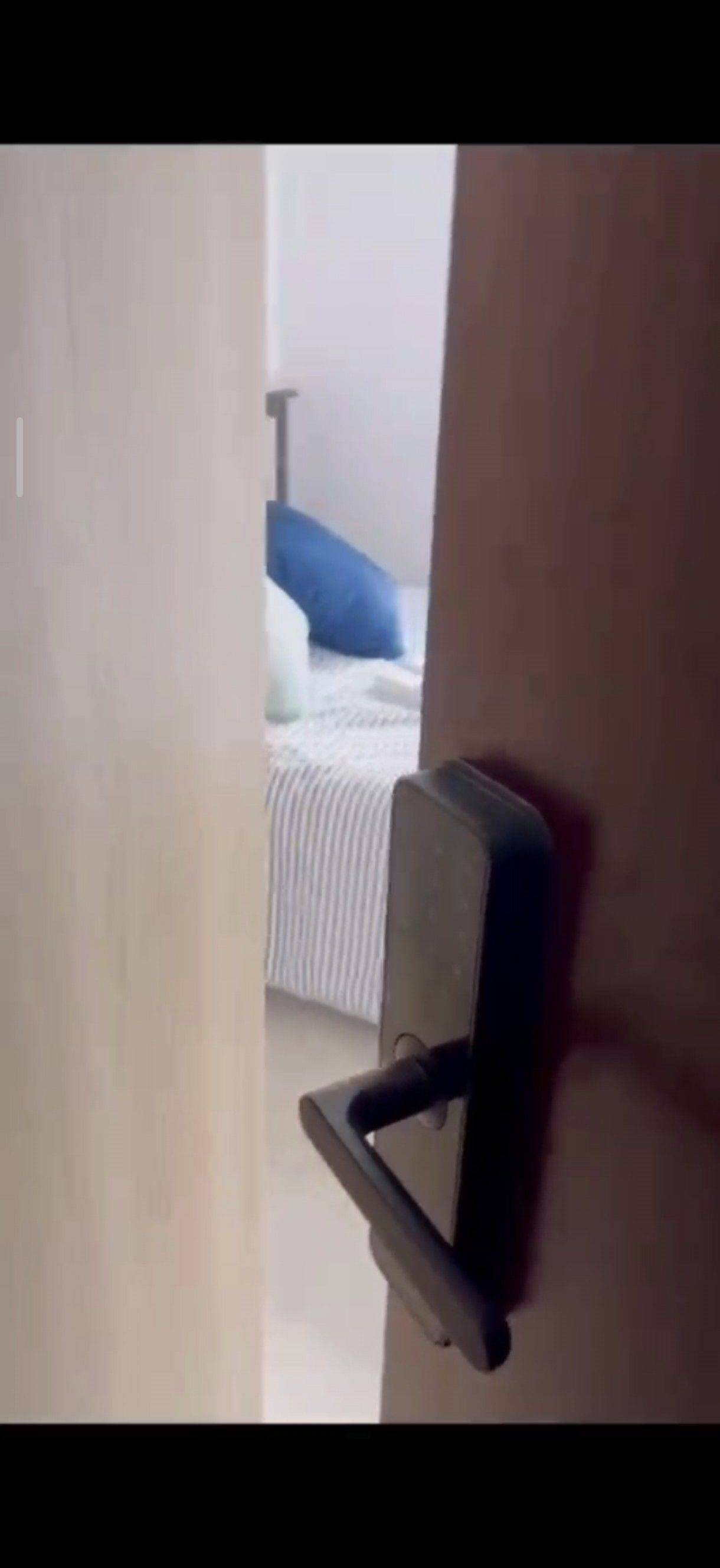 Guangzhou-Huangpu-Cozy Home,Clean&Comfy,No Gender Limit,Hustle & Bustle,Pet Friendly