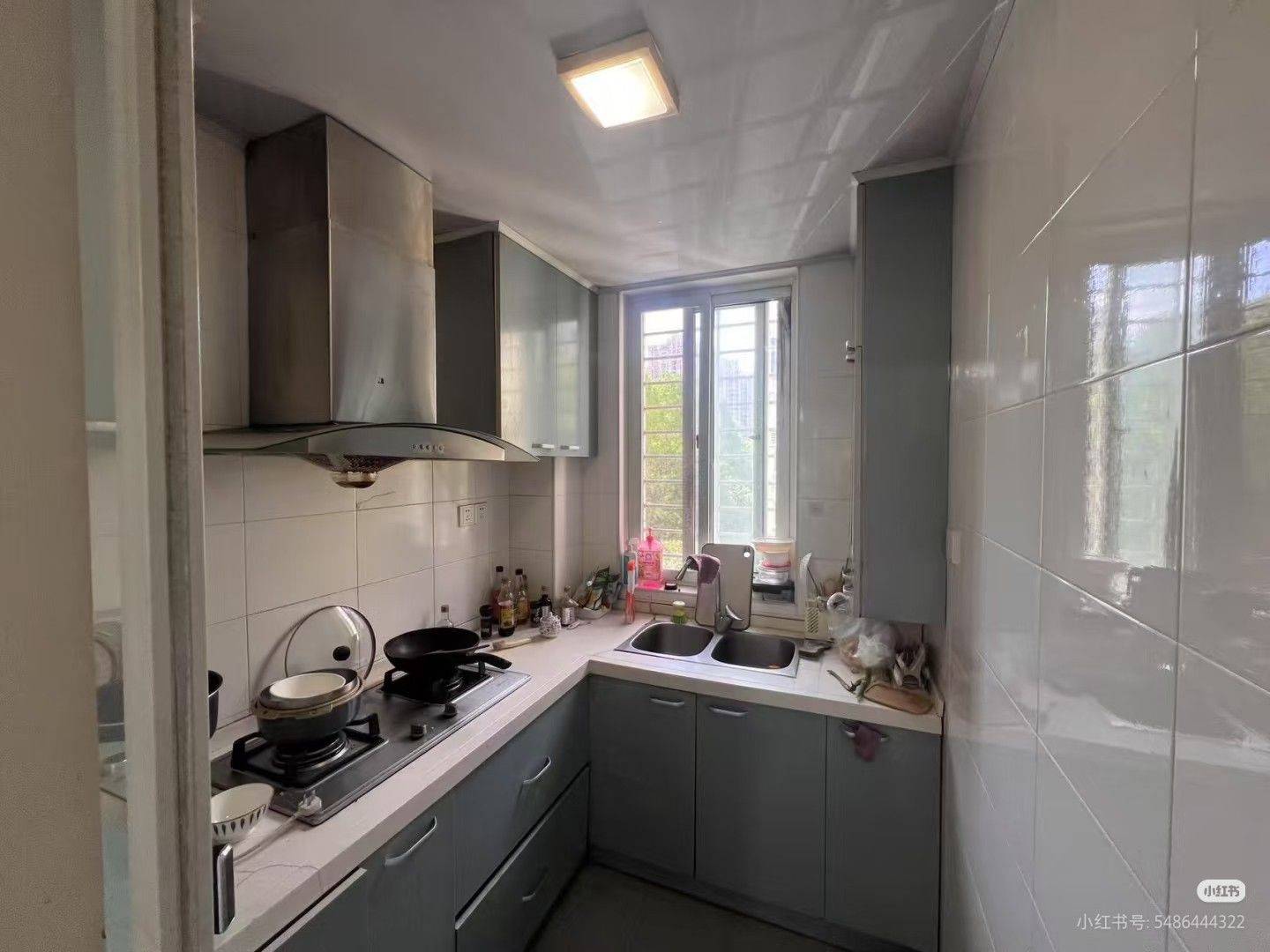 上海-寶山-溫馨小窩,乾淨治愈,不限性別,寵物友好