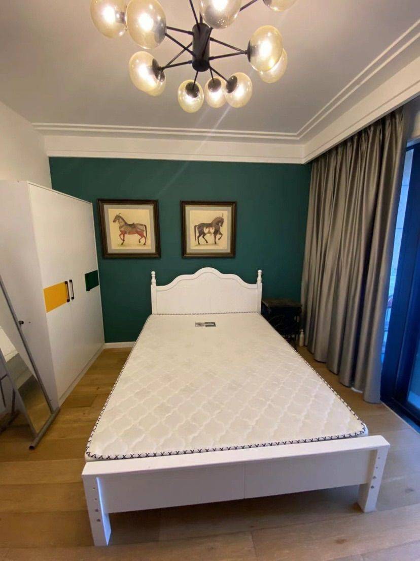 成都-武侯-溫馨小窩,乾淨治愈,不限性別,慢時光,寵物友好