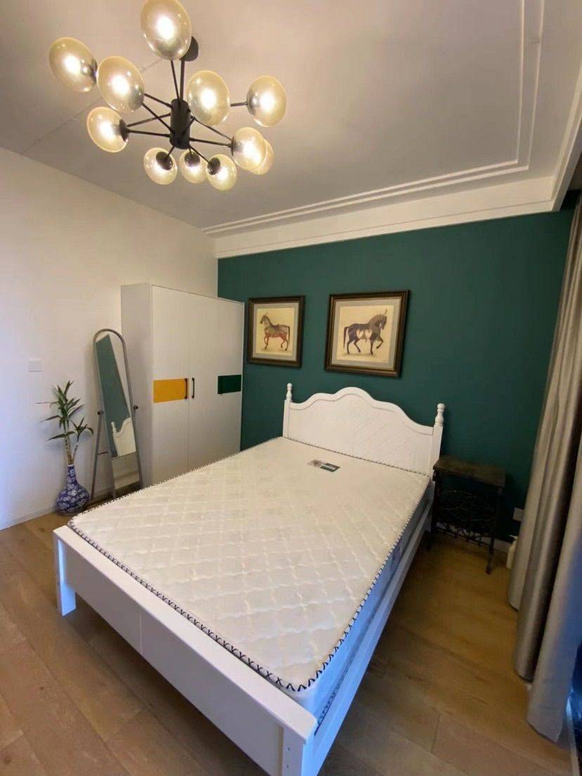 成都-武侯-溫馨小窩,乾淨治愈,不限性別,慢時光,寵物友好