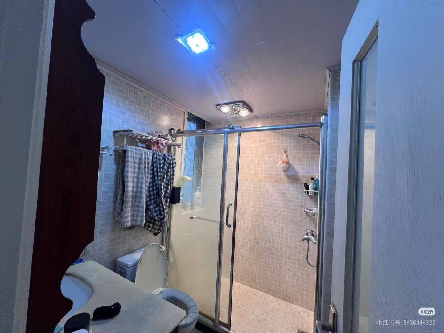 上海-寶山-溫馨小窩,乾淨治愈,不限性別,寵物友好