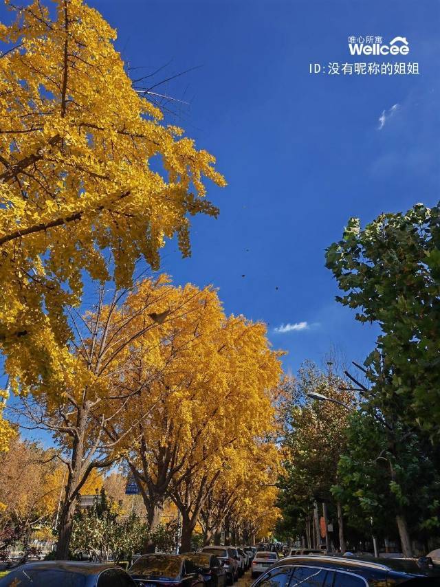 Beijing-Chaoyang-Cozy Home,Clean&Comfy,Hustle & Bustle,Chilled