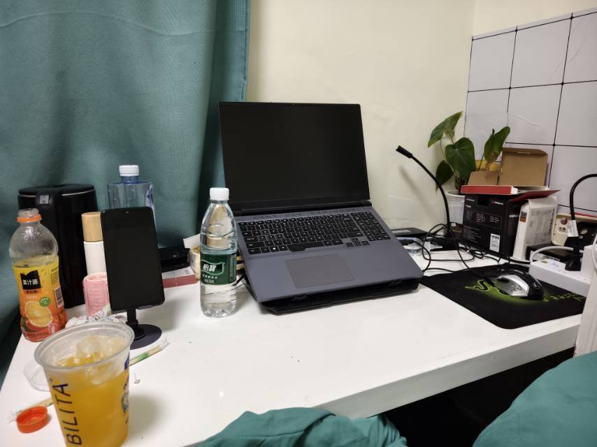 Shenzhen-Futian-Cozy Home,Clean&Comfy,No Gender Limit,Hustle & Bustle,“Friends”,Chilled,LGBTQ Friendly,Pet Friendly