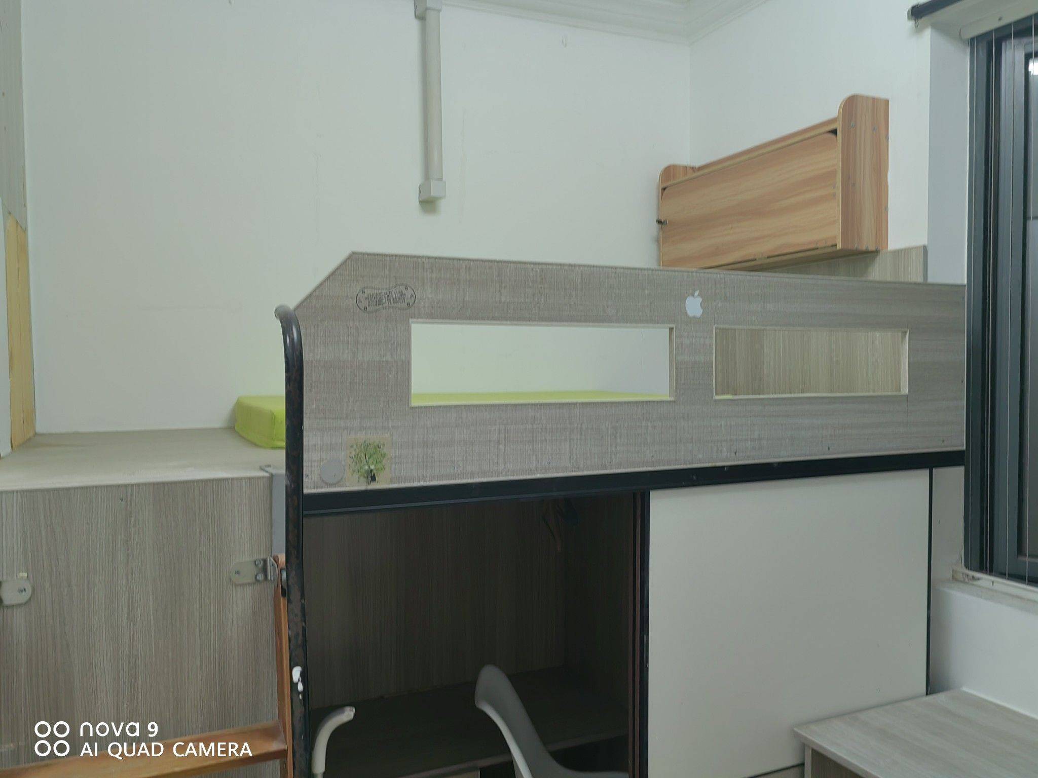 Shanghai-Pudong-Cozy Home,Clean&Comfy,No Gender Limit,Hustle & Bustle,“Friends”,Chilled