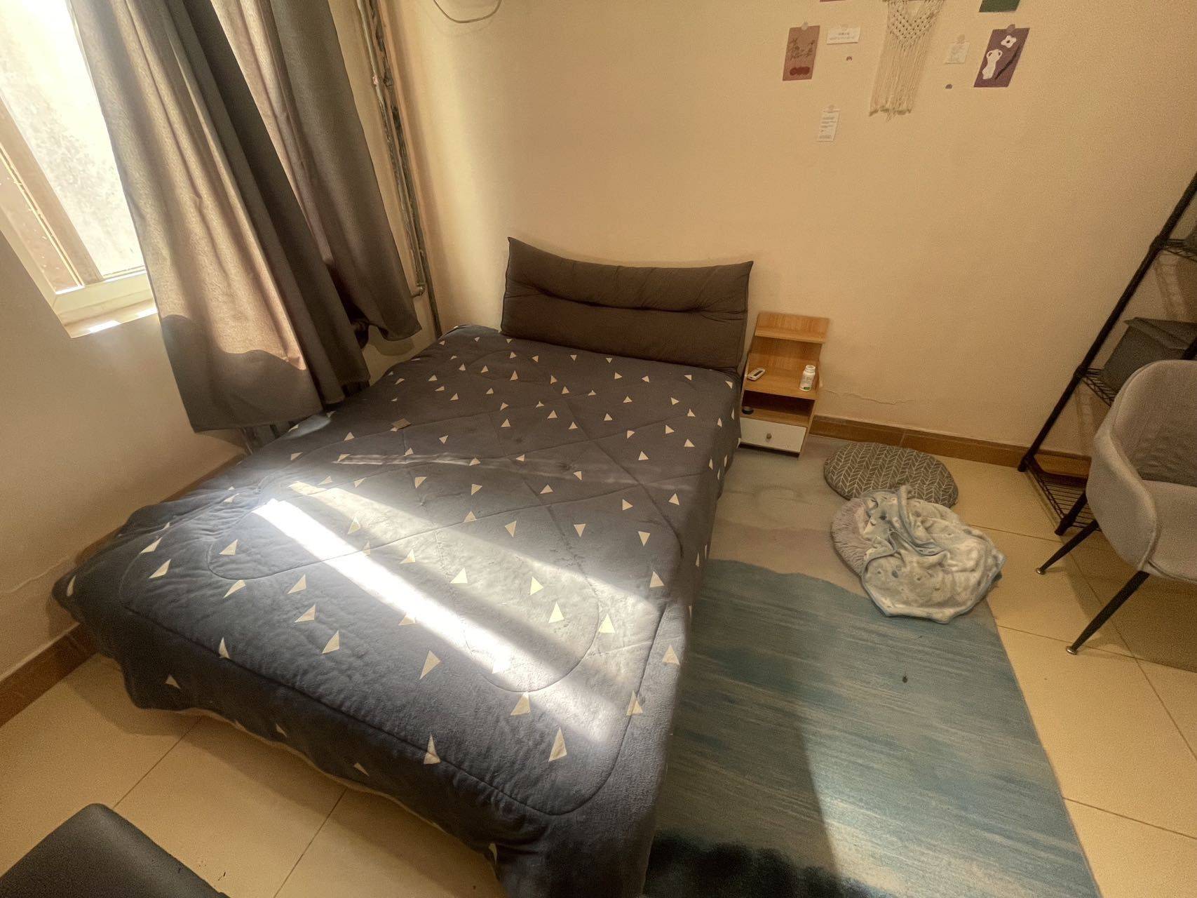 Beijing-Chaoyang-No Gender Limit,Pet Friendly