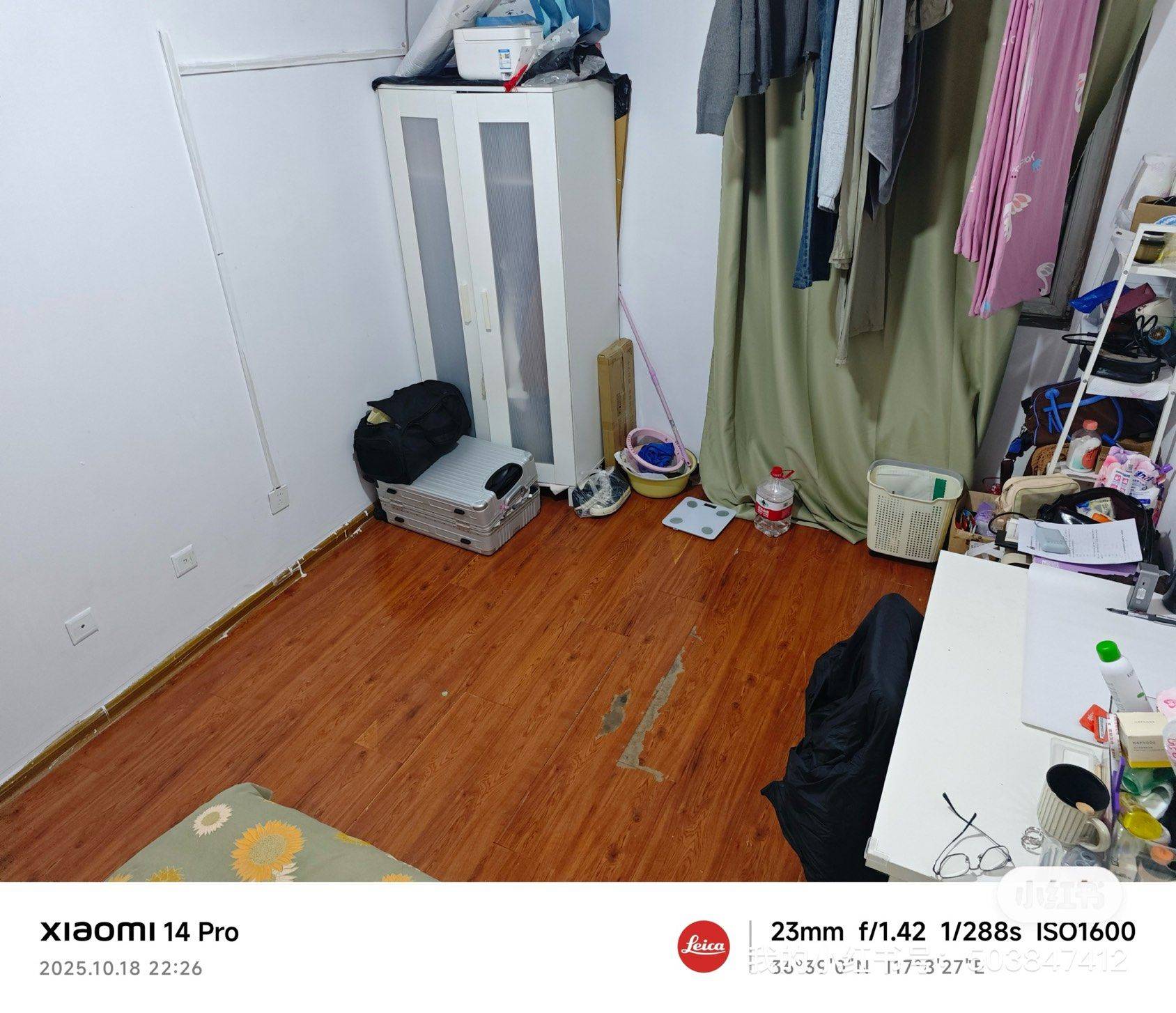 Jinan-Licheng-Cozy Home,Clean&Comfy,No Gender Limit,Hustle & Bustle