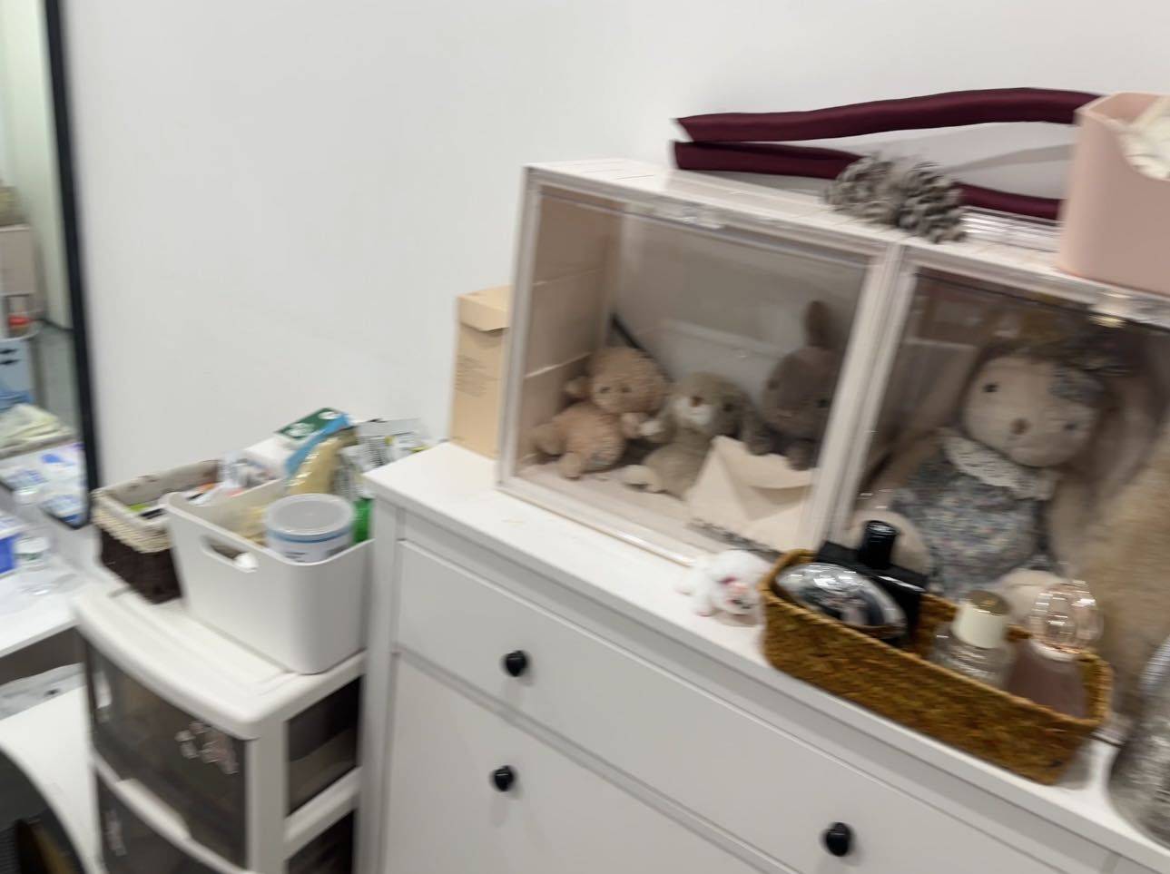 Beijing-Dongcheng-Pet Friendly