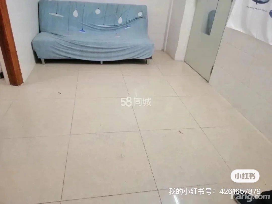 深圳-龍華-溫馨小窩,乾淨治愈,市井煙火氣