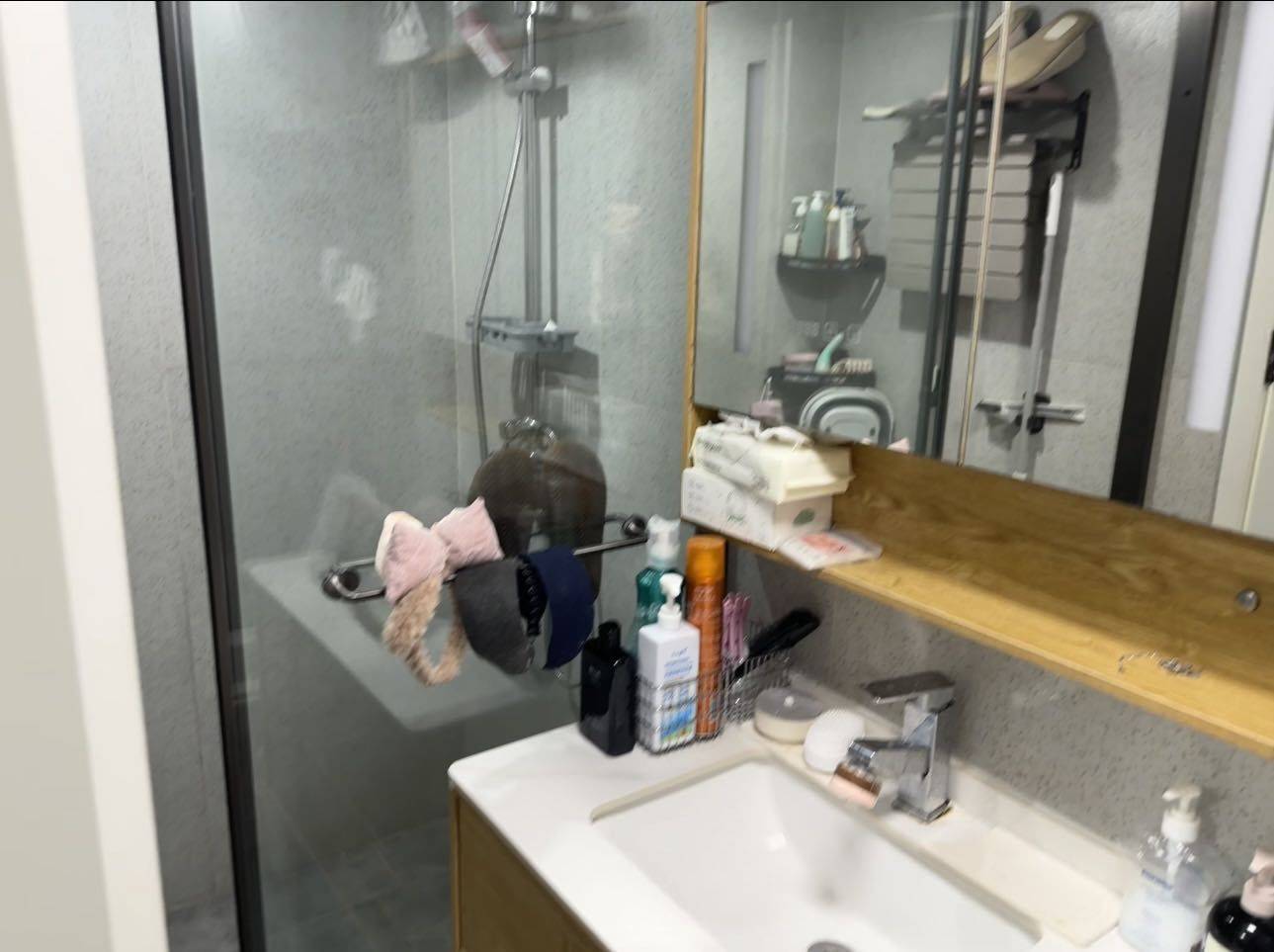 Beijing-Dongcheng-Pet Friendly