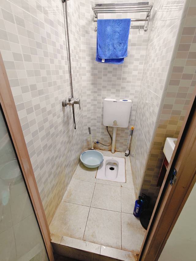 深圳-宝安-干净治愈,不限性别,市井烟火气,宠物友好