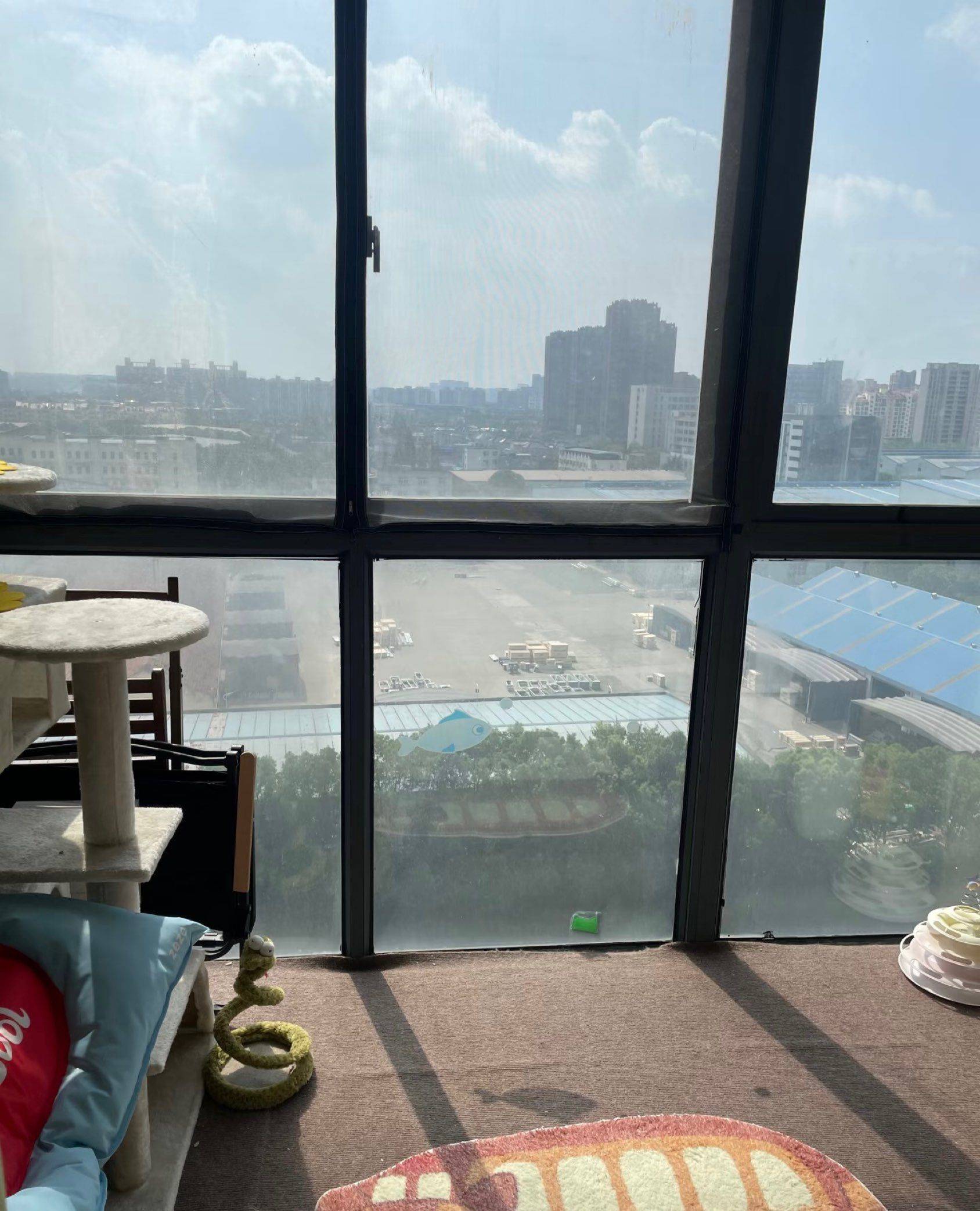 Shanghai-Songjiang-LGBTQ Friendly,Pet Friendly