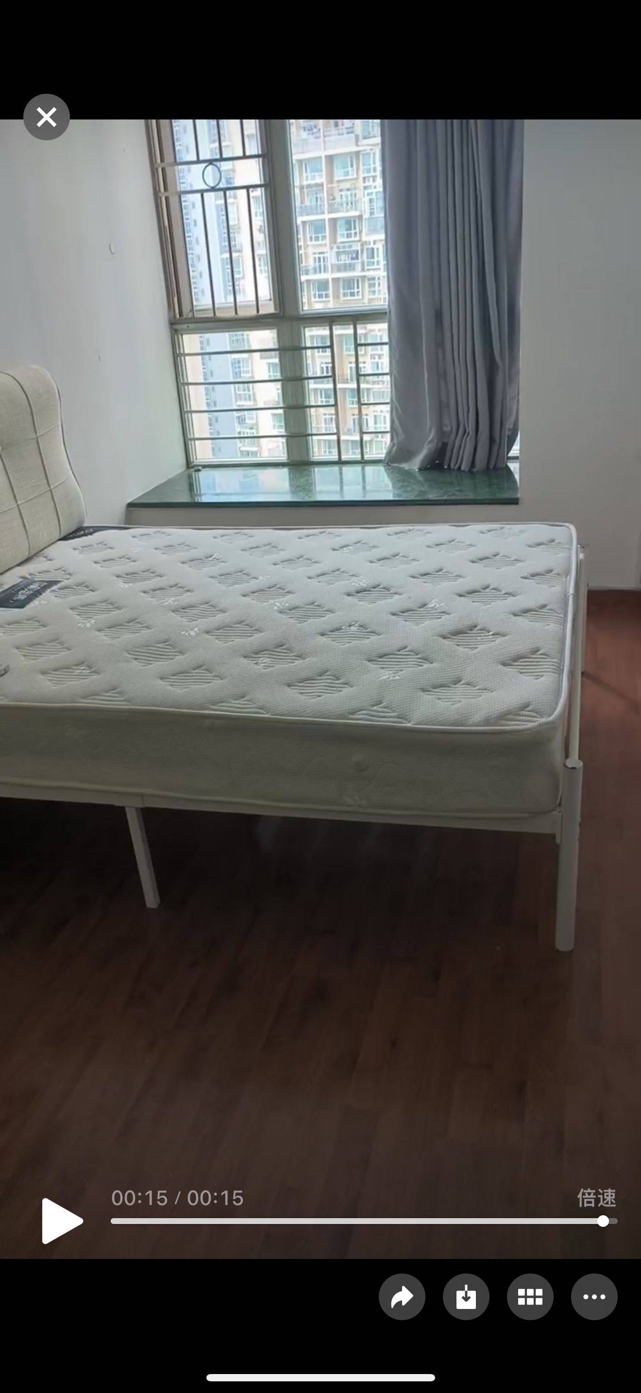 Shenzhen-Nanshan-No Gender Limit,Pet Friendly