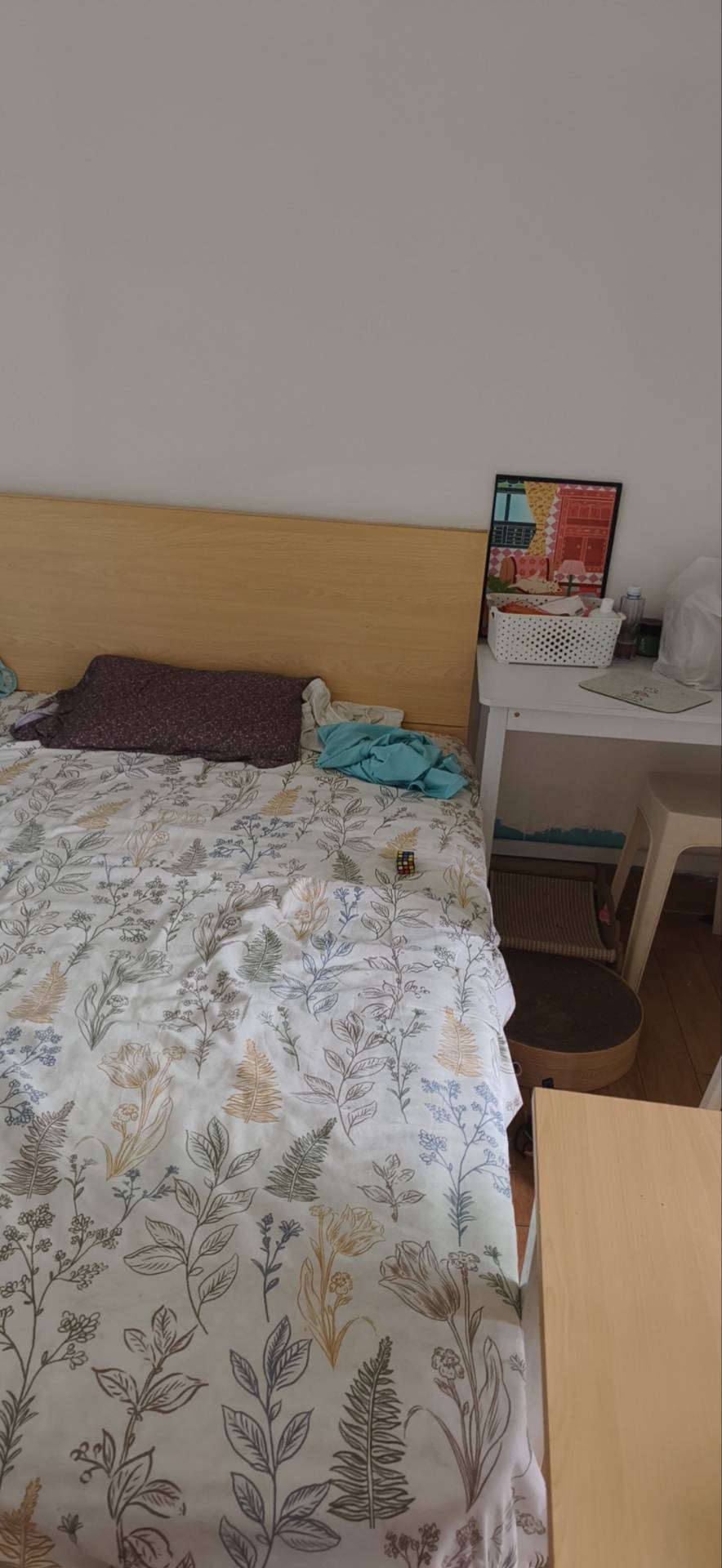 Shenzhen-BaoAn-Cozy Home,Clean&Comfy,No Gender Limit