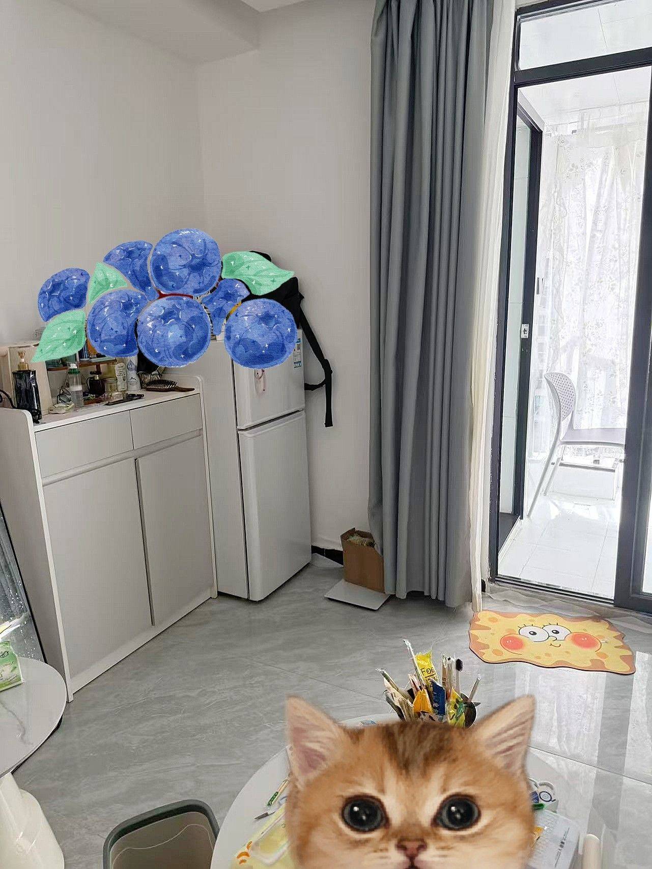 深圳-福田-温馨小窝,不限性别,老友记