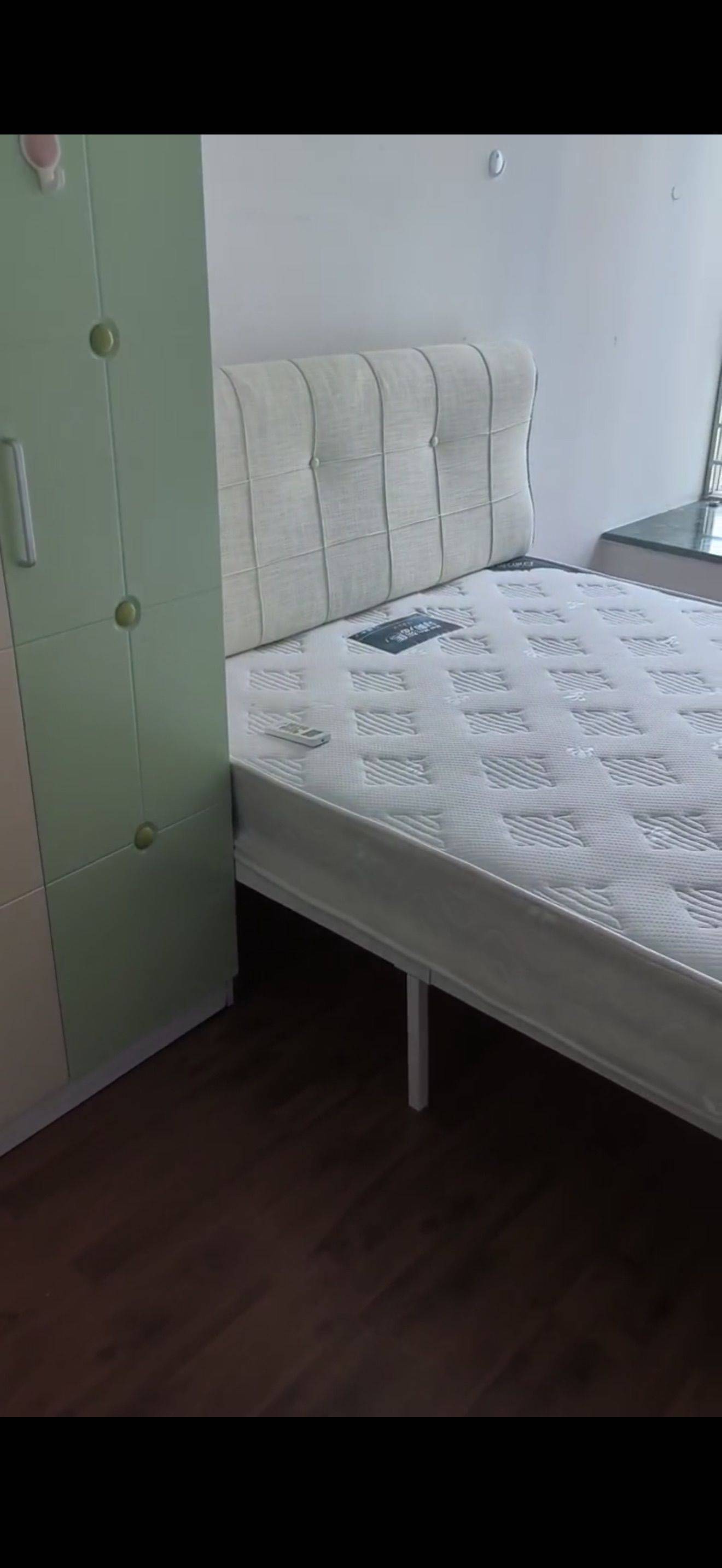 Shenzhen-Nanshan-No Gender Limit,Pet Friendly