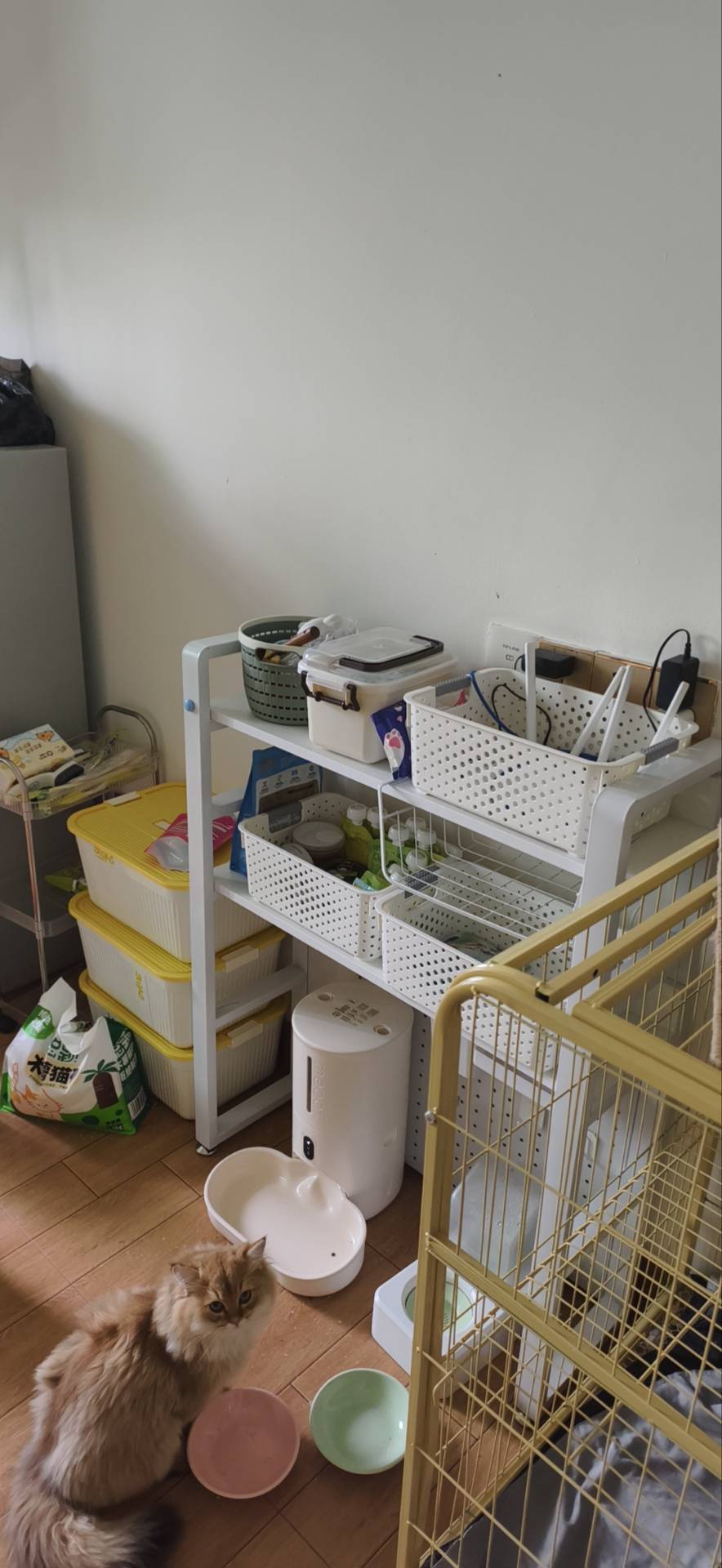 Shenzhen-BaoAn-Cozy Home,Clean&Comfy,No Gender Limit