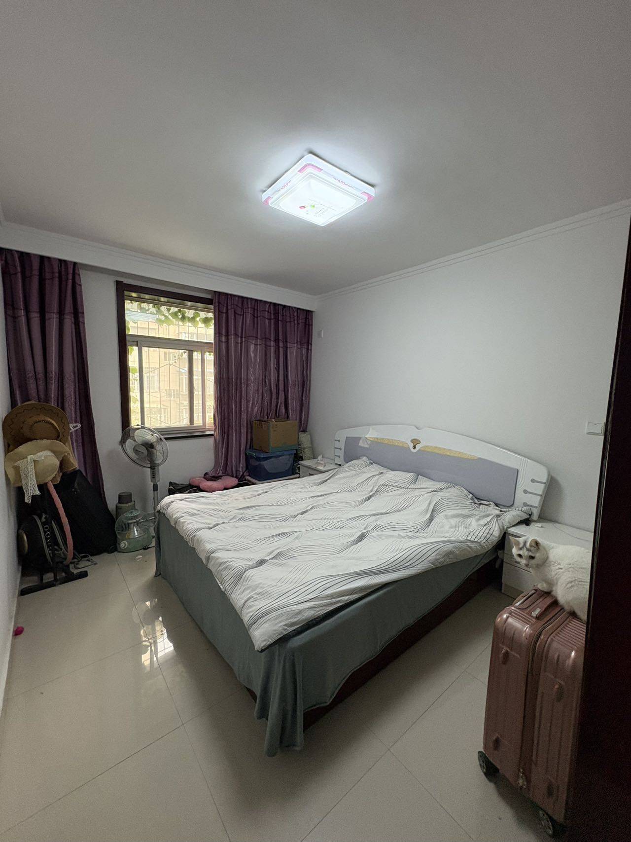 西安-未央-温馨小窝,干净治愈,不限性别,宠物友好