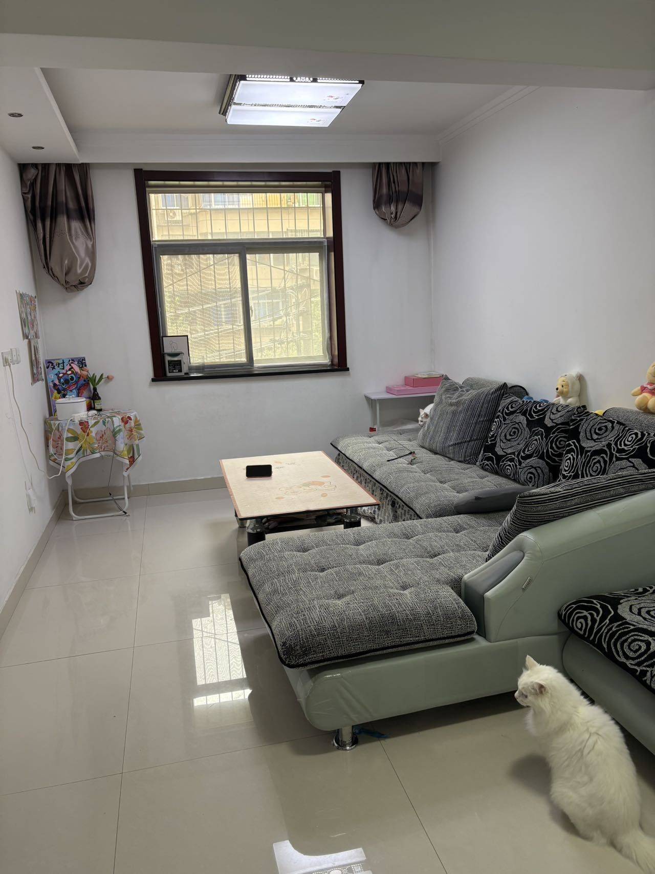 西安-未央-温馨小窝,干净治愈,不限性别,宠物友好