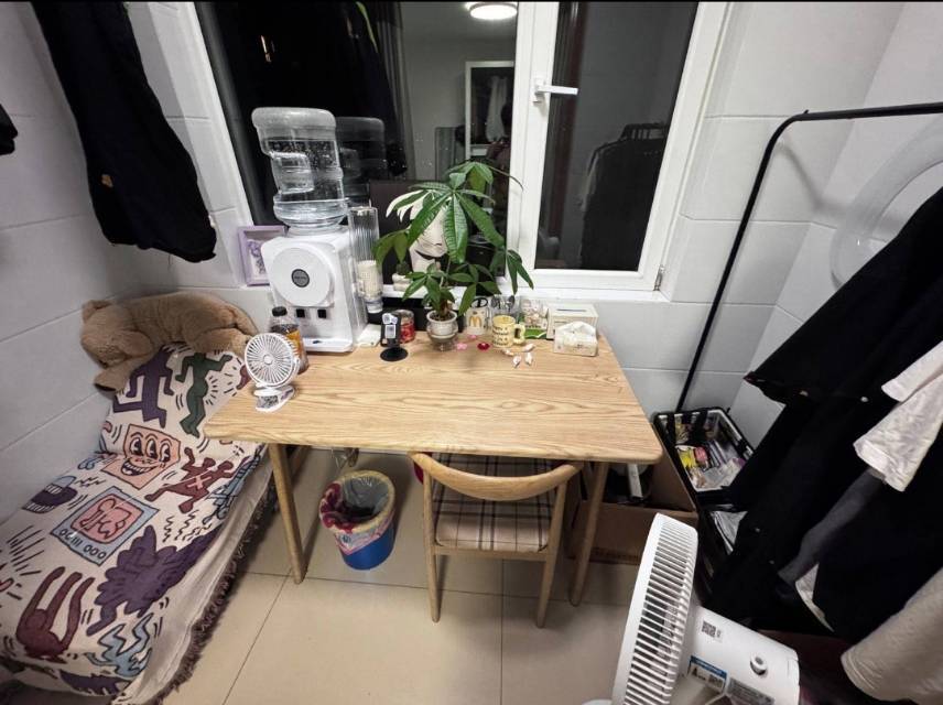 郑州-二七-溫馨小窩,乾淨治愈,不限性別,市井煙火氣,老友記,慢時光,LGBTQ友好,寵物友好