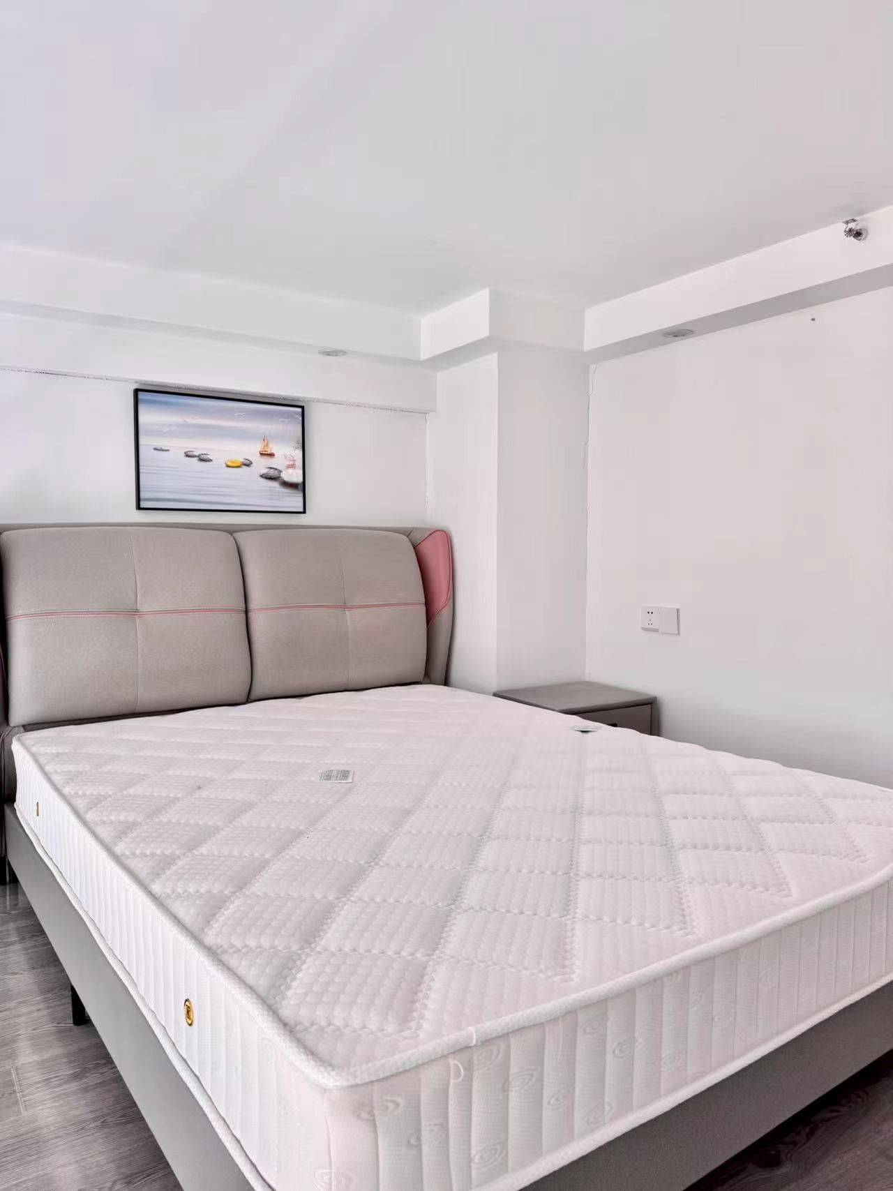 Shanghai-Jing‘An-Cozy Home,Clean&Comfy,No Gender Limit,LGBTQ Friendly,Pet Friendly