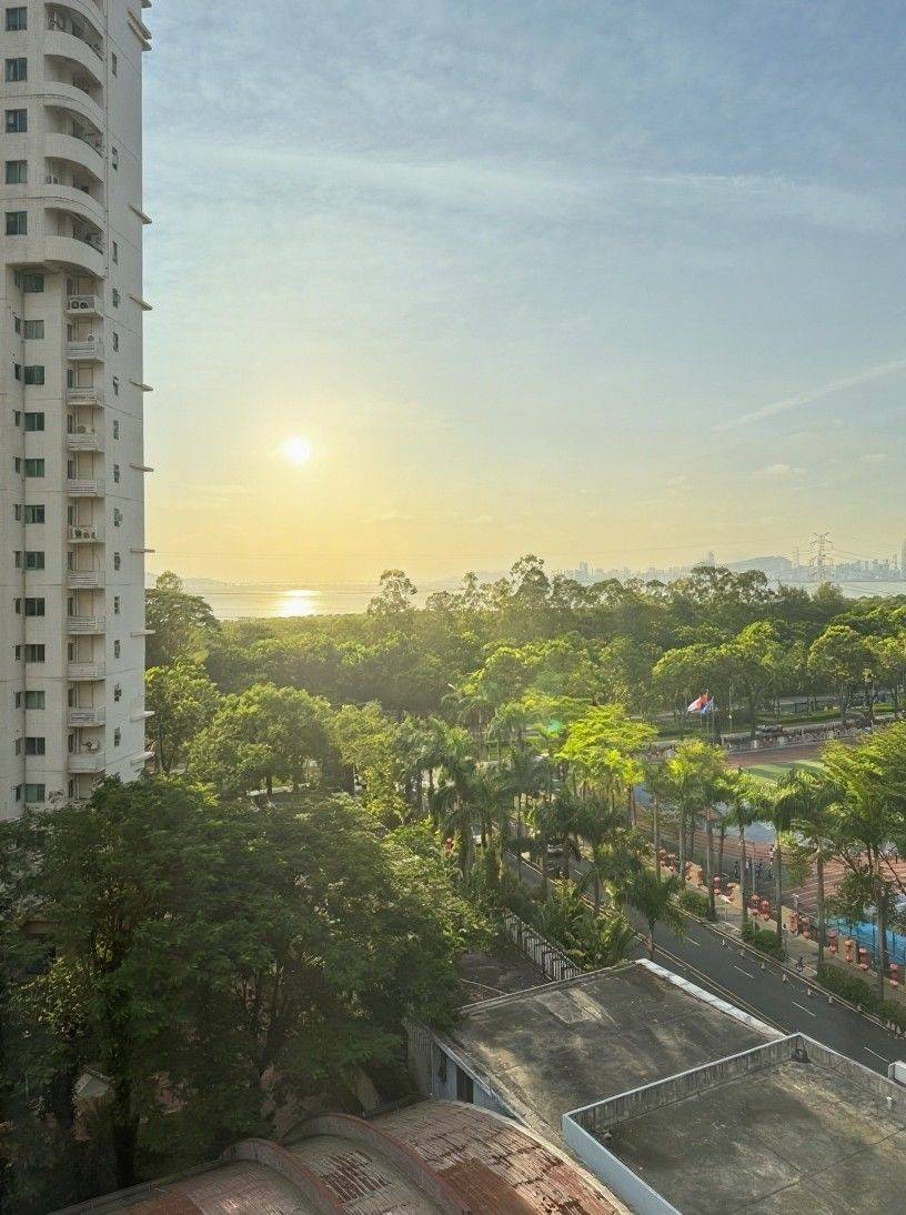 深圳-福田-温馨小窝,不限性别,老友记