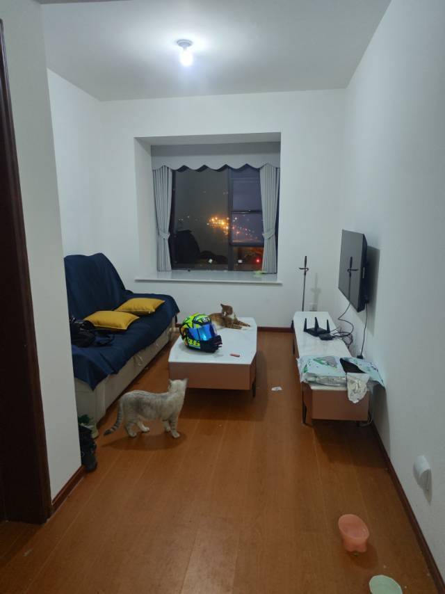 Chengdu-Shuangliu-Cozy Home,Clean&Comfy,No Gender Limit,Pet Friendly