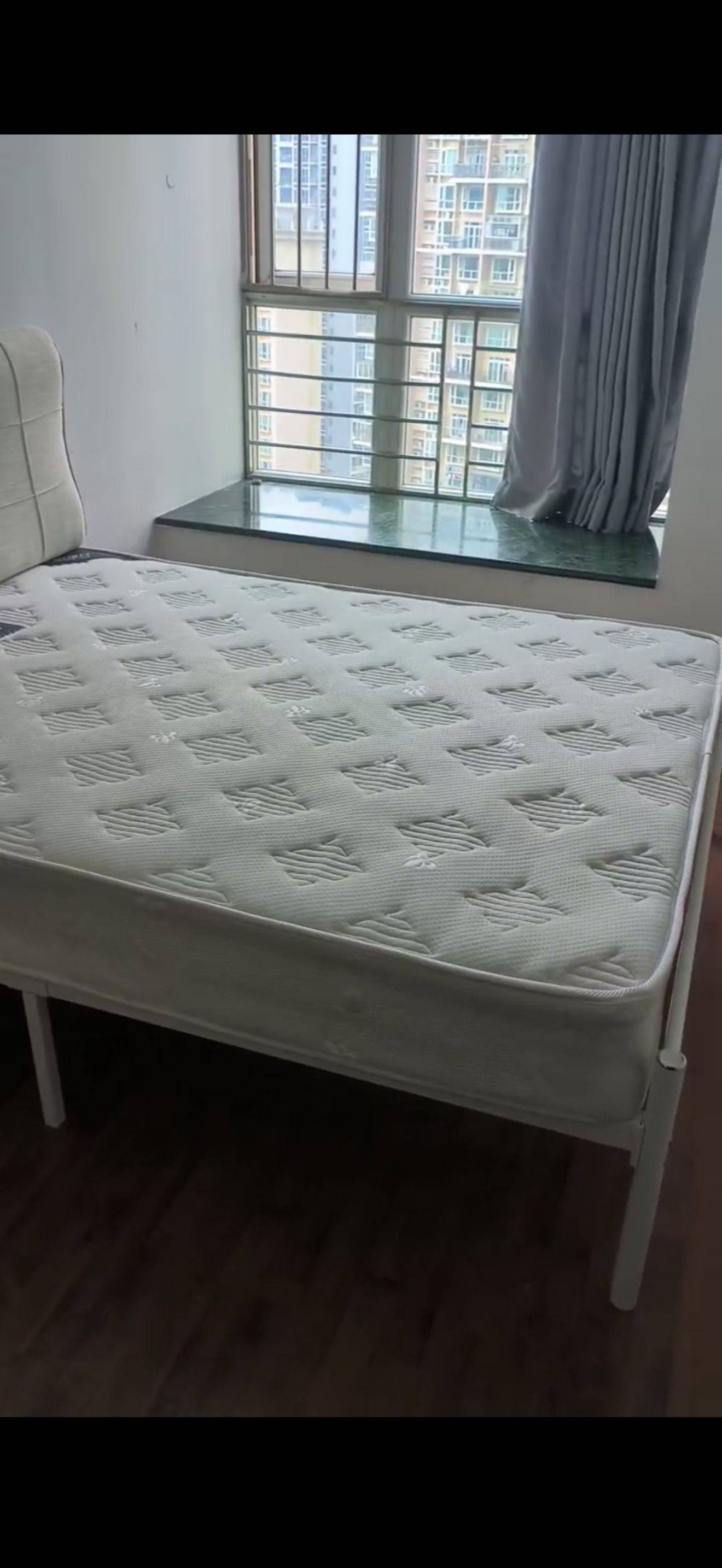 Shenzhen-Nanshan-No Gender Limit,Pet Friendly