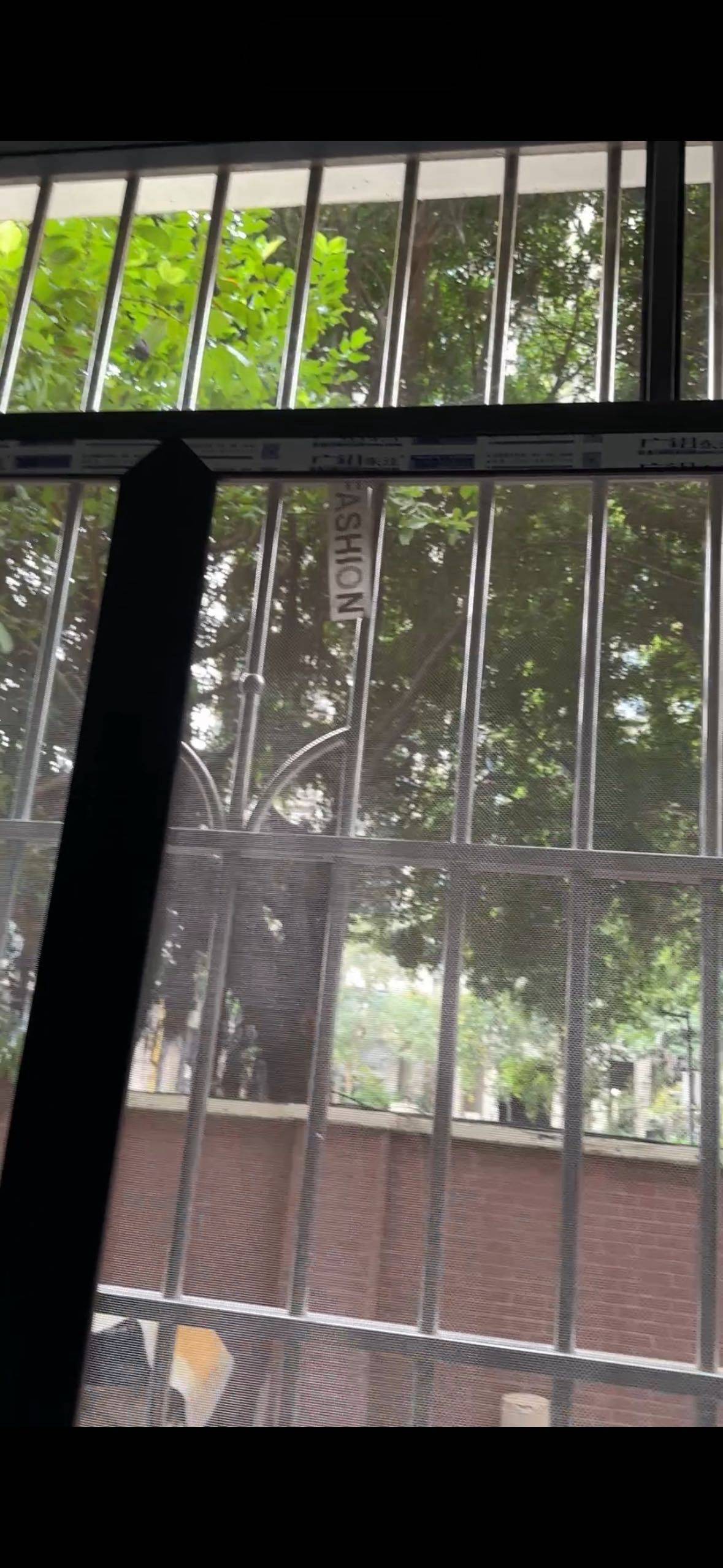 Guangzhou-Tianhe-Cozy Home,Hustle & Bustle,Chilled,Pet Friendly
