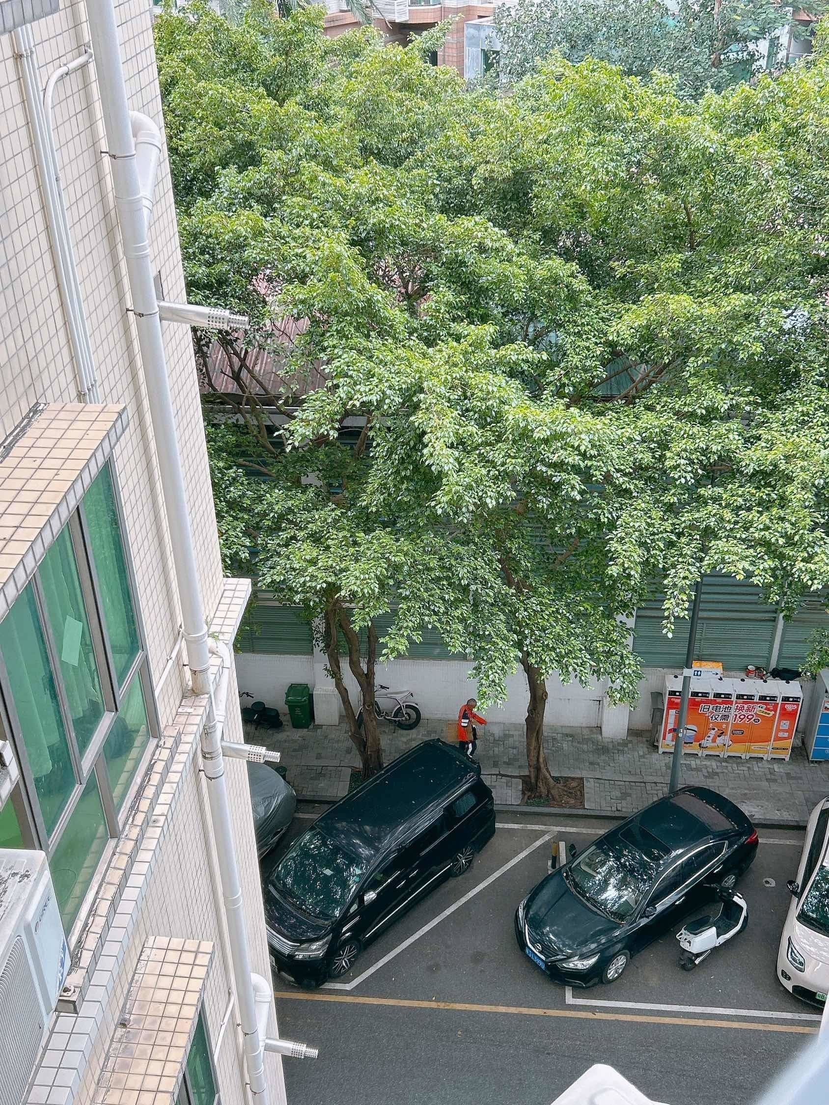 Shenzhen-Futian-Cozy Home,Clean&Comfy